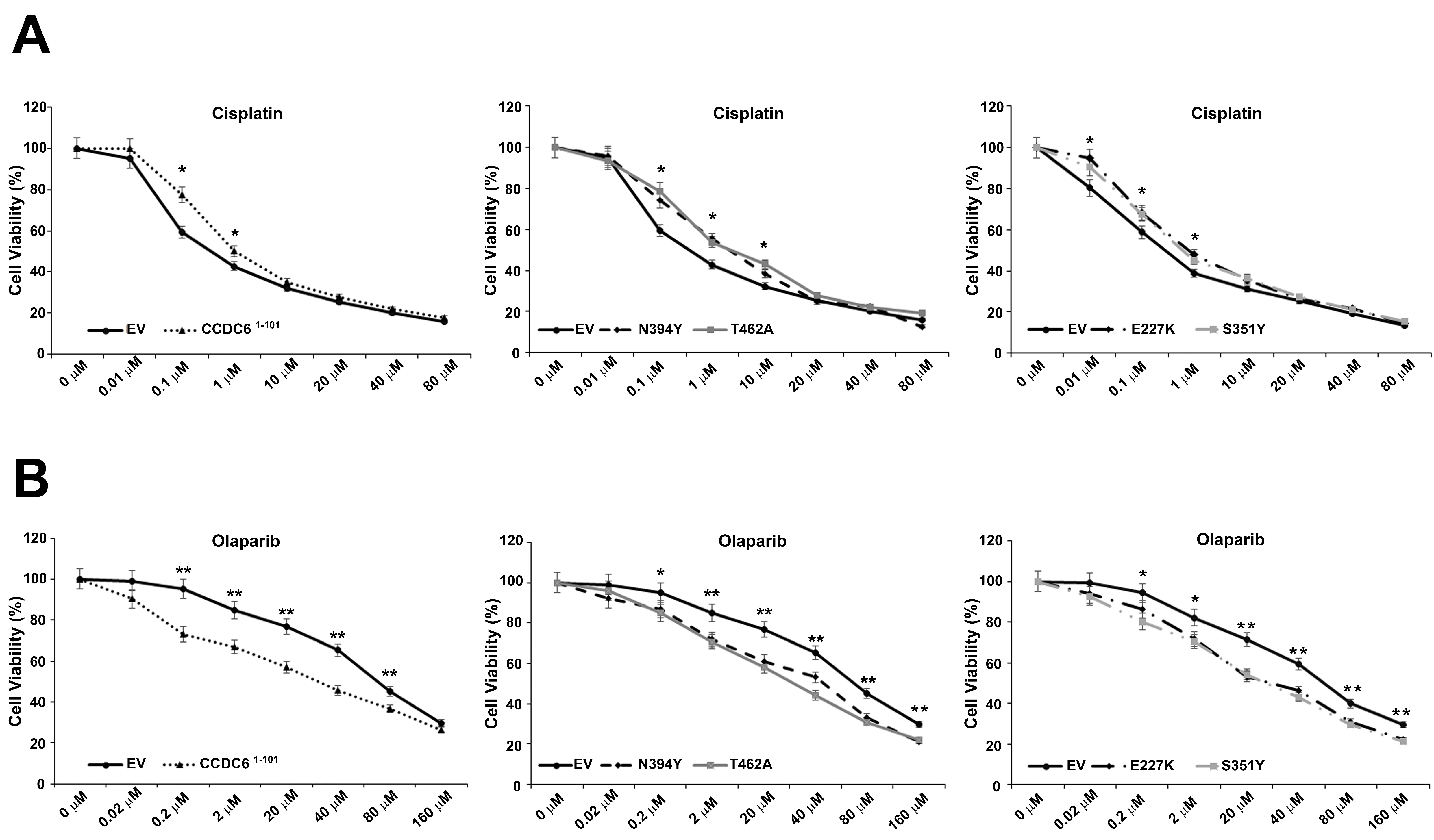 Cancers 12 00044 g005a Cancers 12 00044 g005a