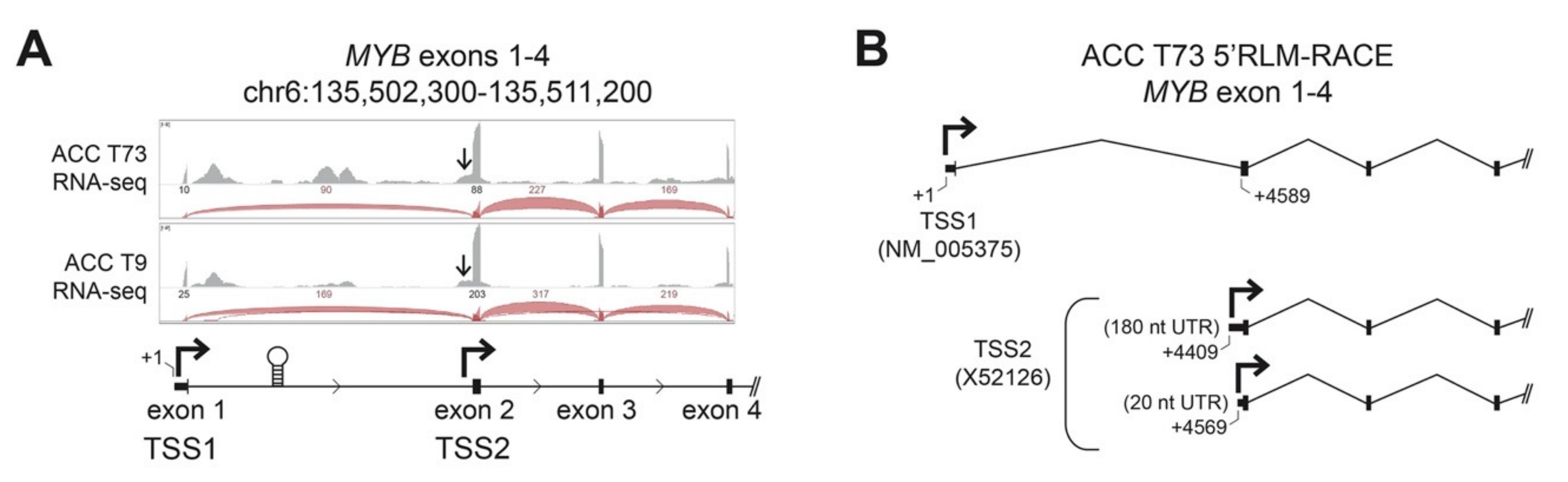 Cancers 12 00045 g001 Cancers 12 00045 g001