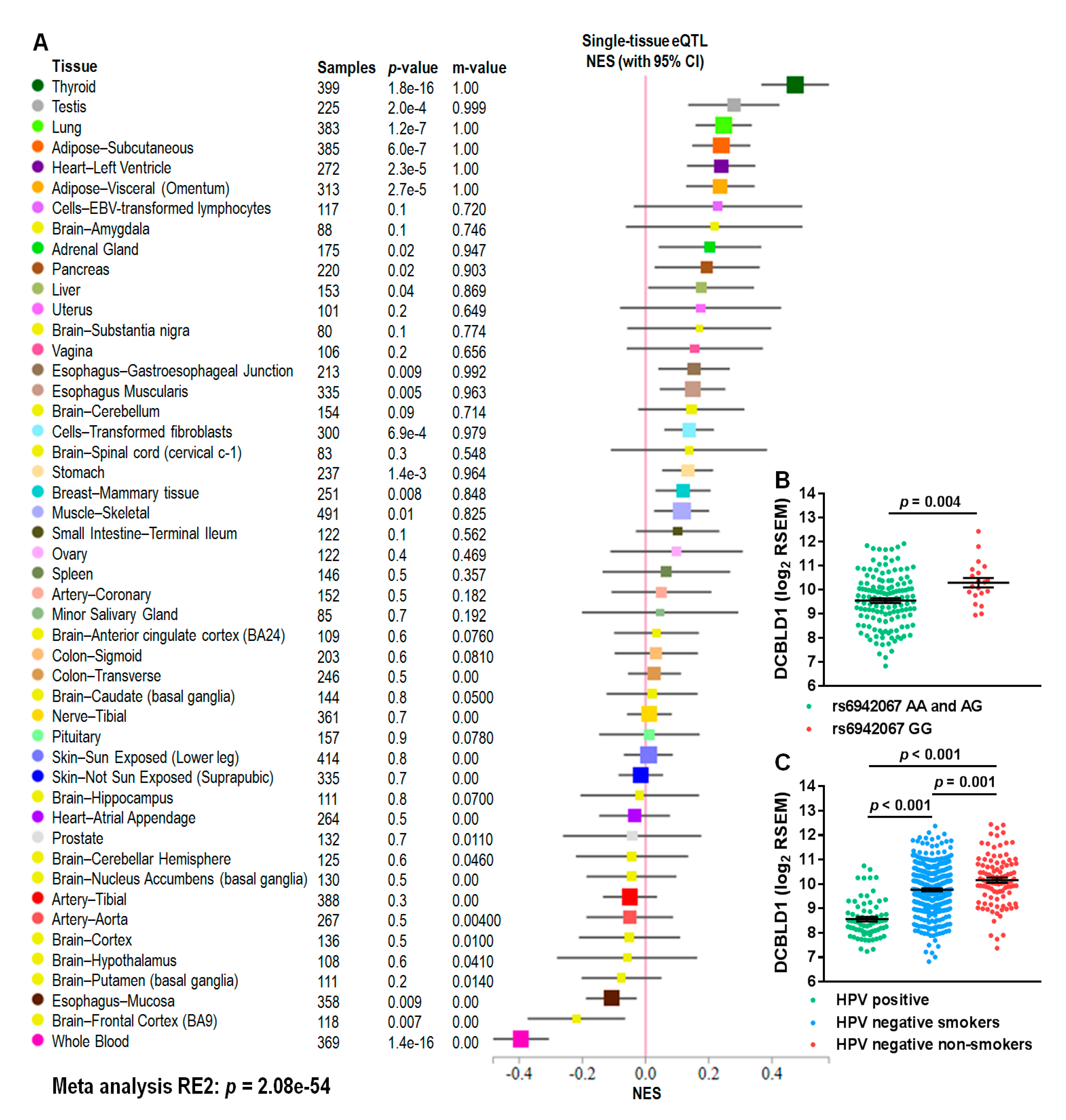 Cancers 12 00055 g002