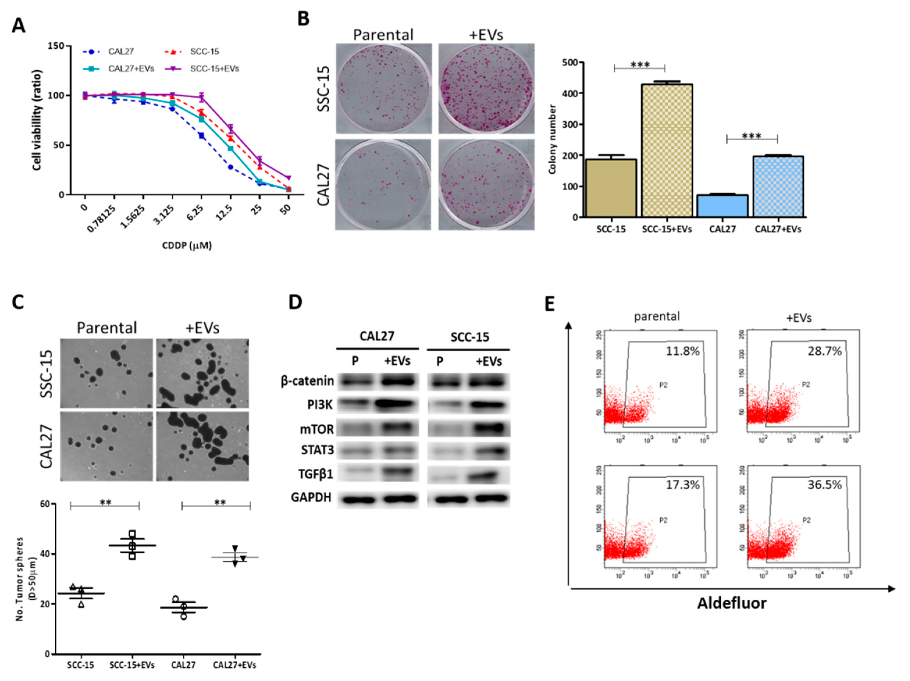Cancers 12 00056 g001