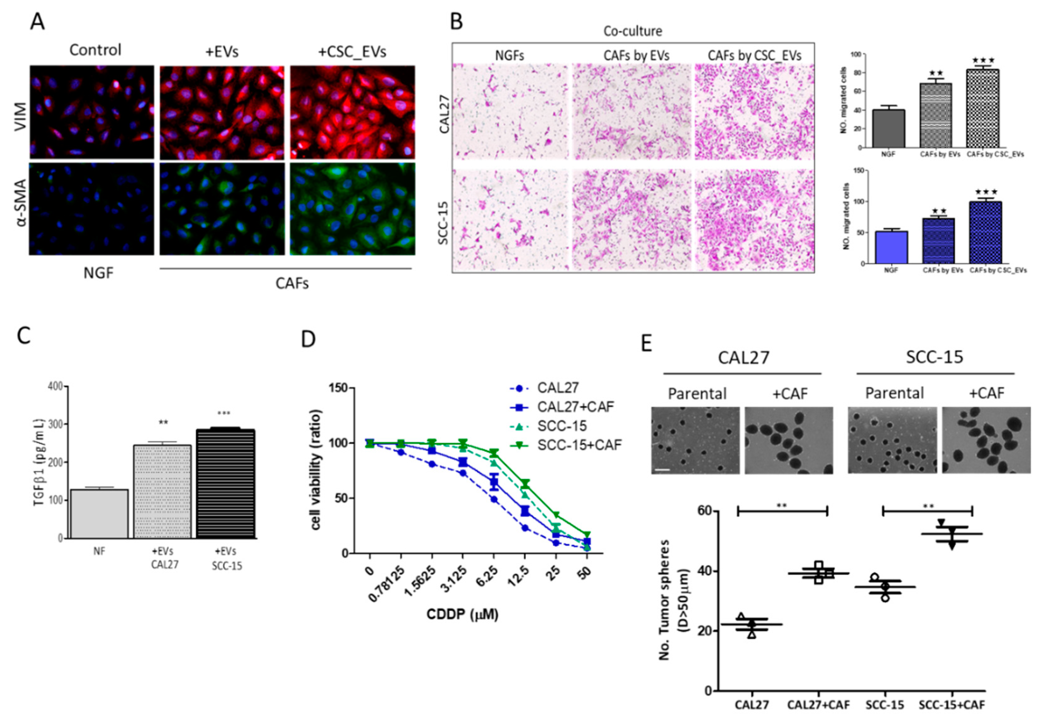 Cancers 12 00056 g003
