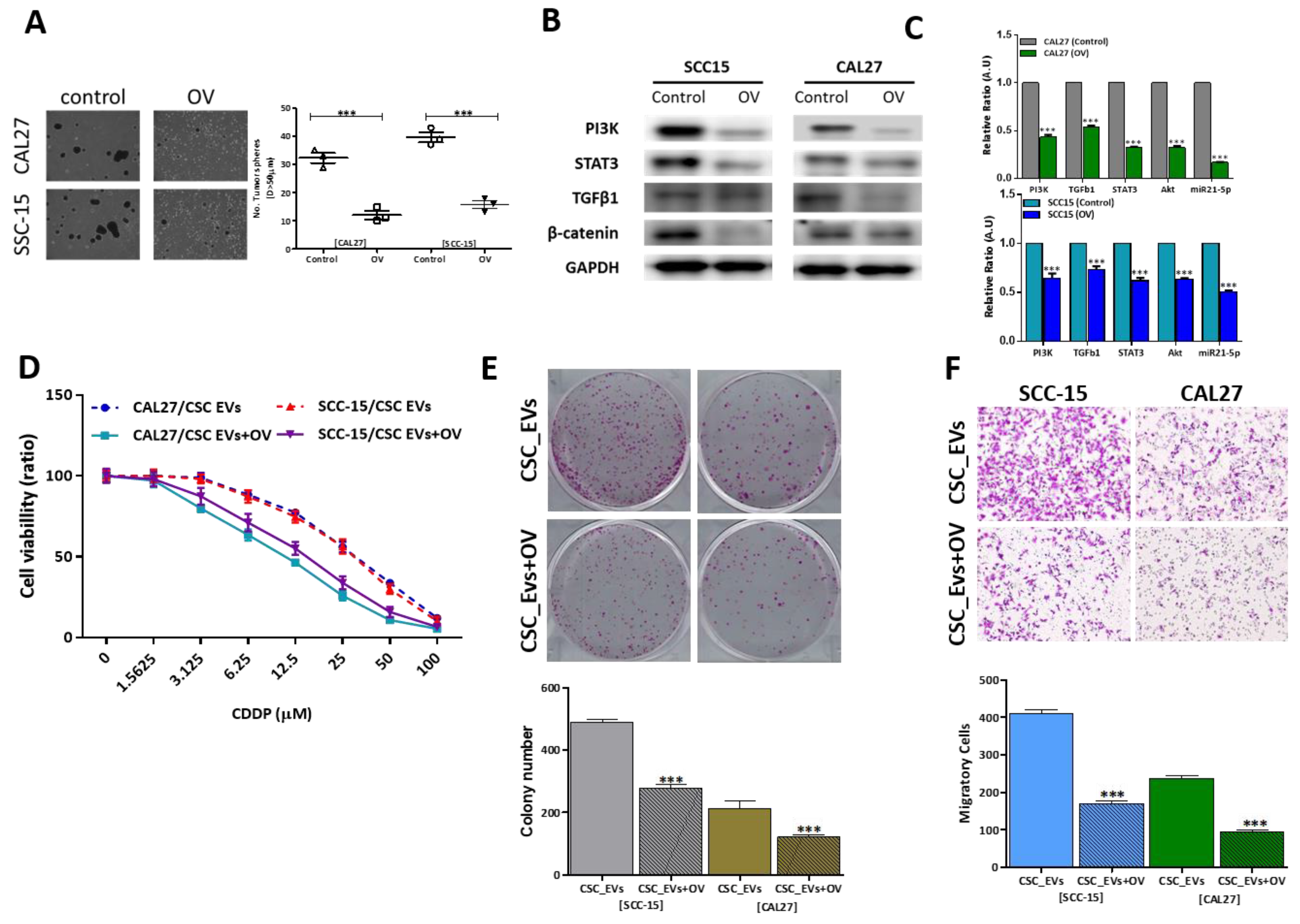 Cancers 12 00056 g004