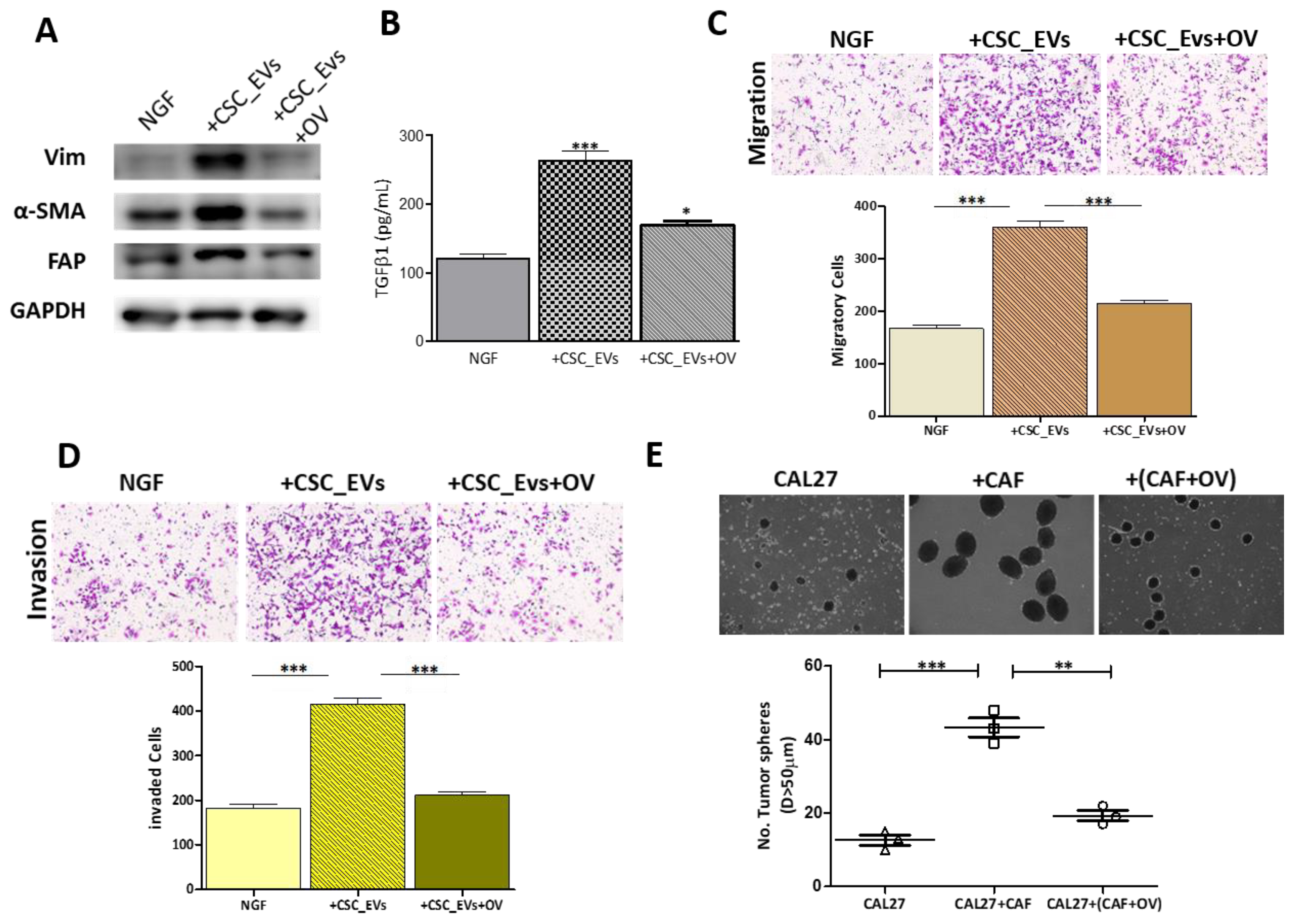 Cancers 12 00056 g005