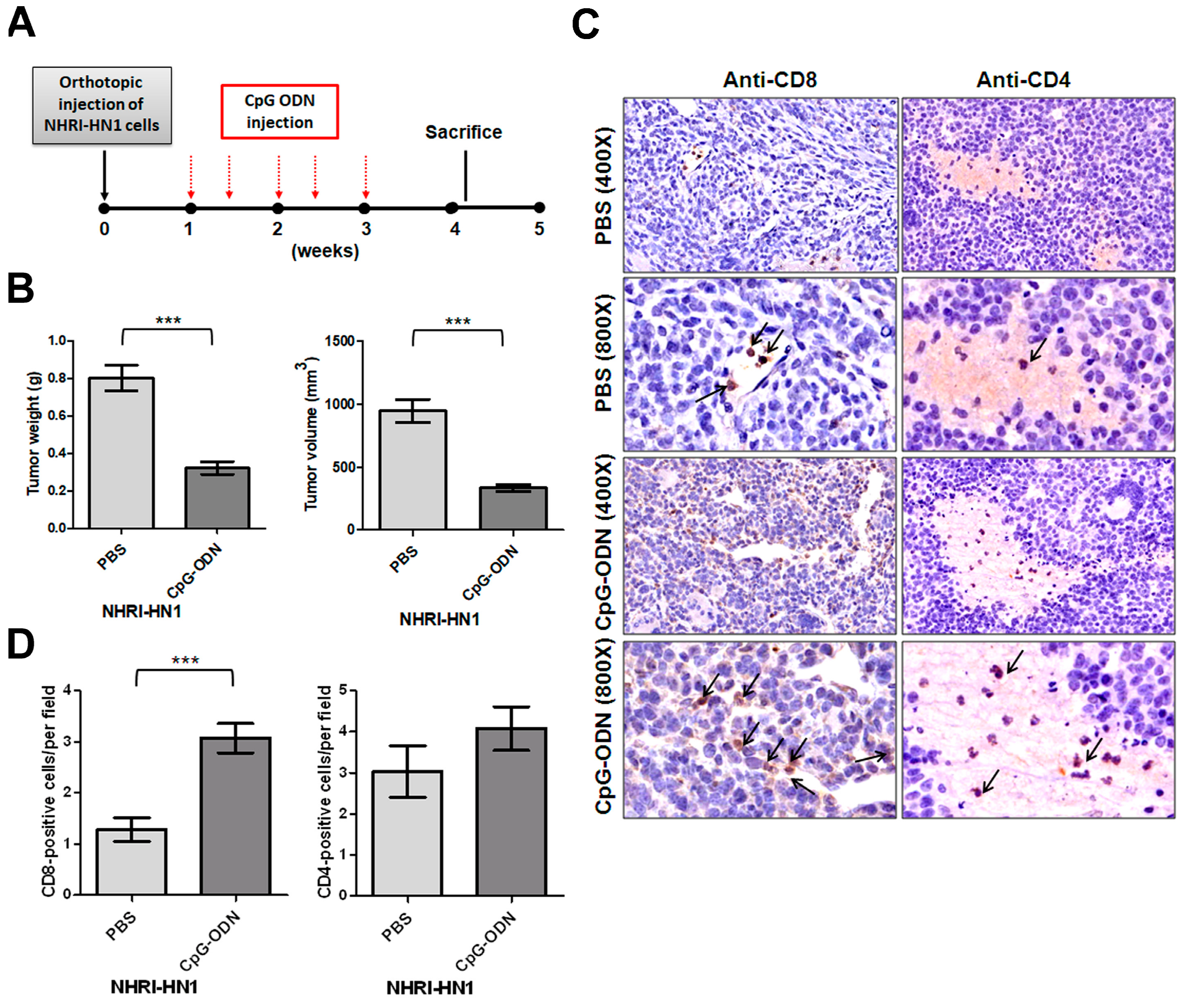 Cancers 12 00061 g003 Cancers 12 00061 g003