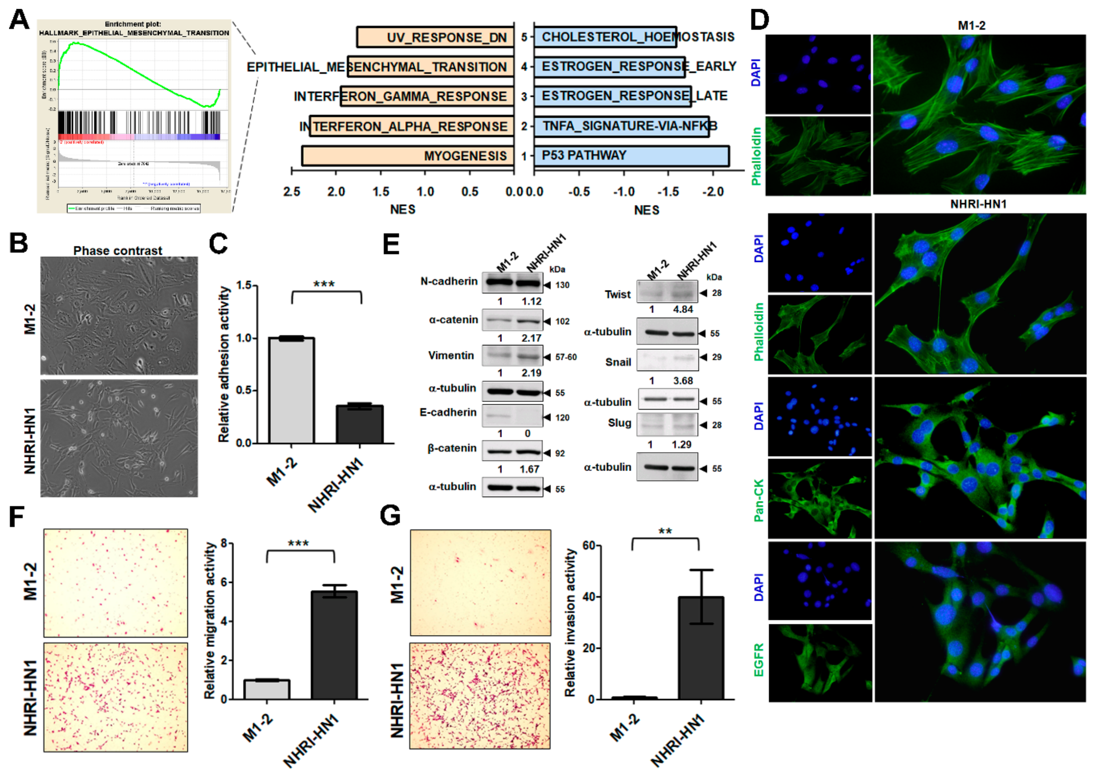 Cancers 12 00061 g004 Cancers 12 00061 g004