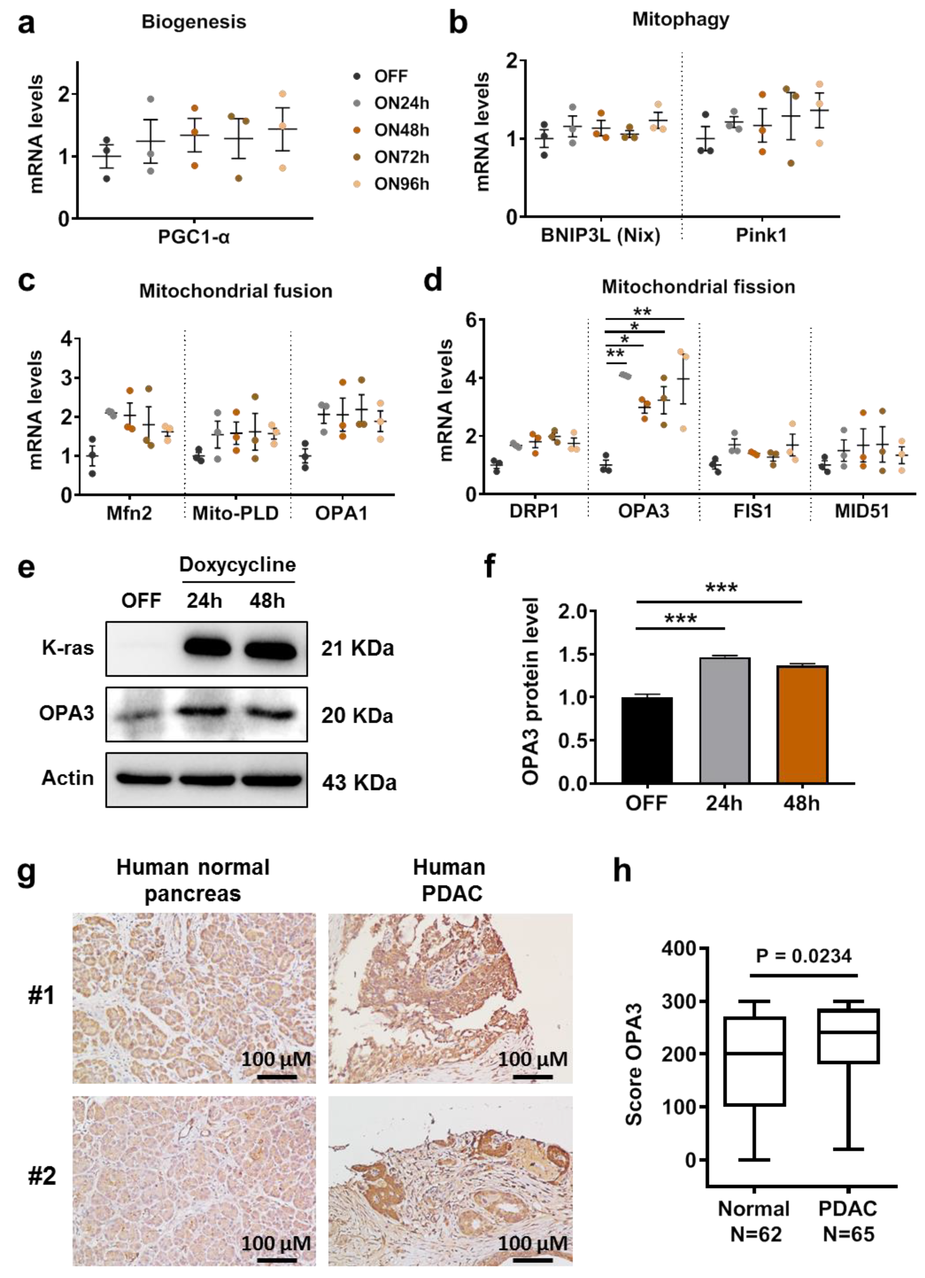Cancers 12 00065 g001