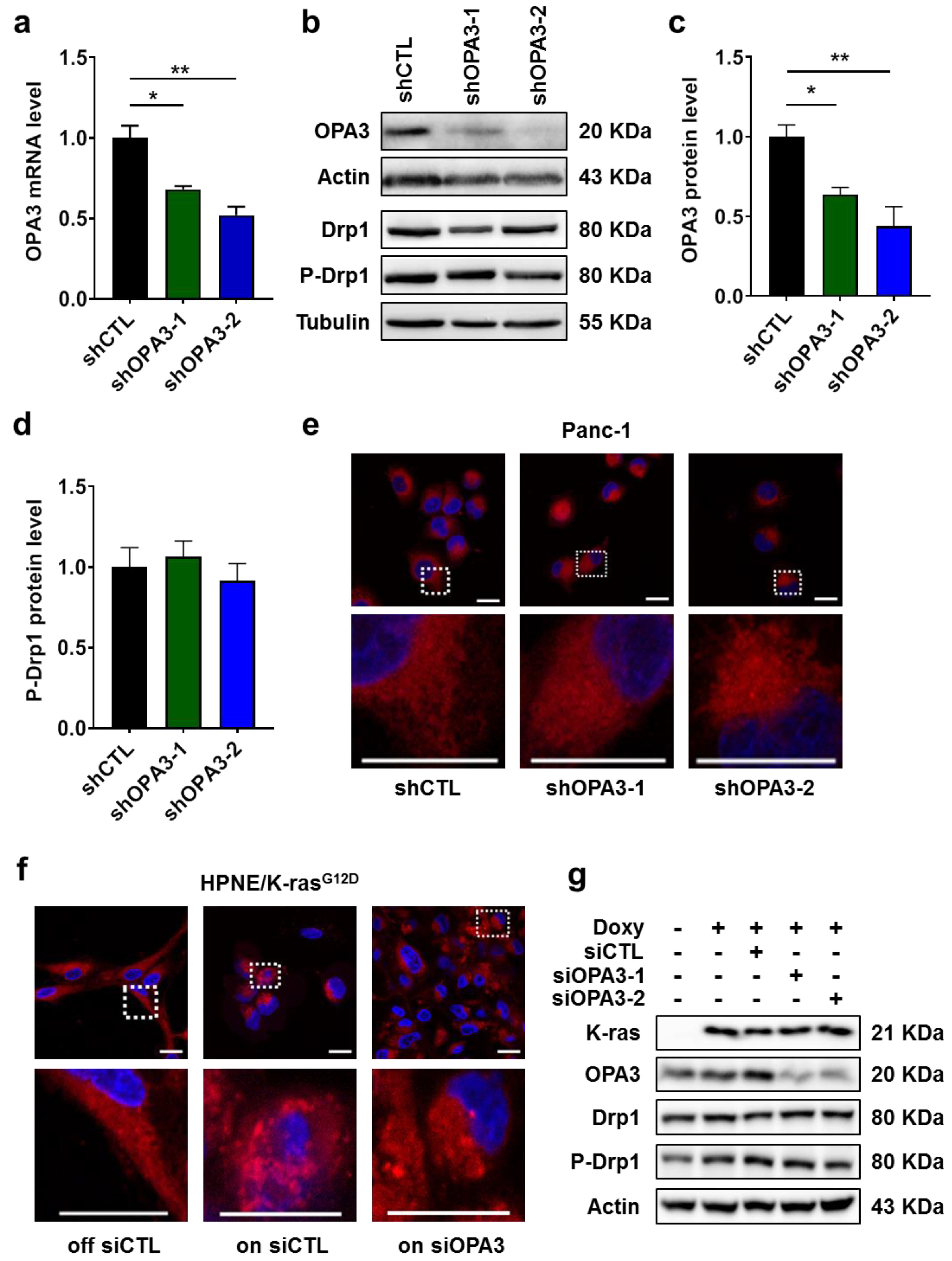 Cancers 12 00065 g002