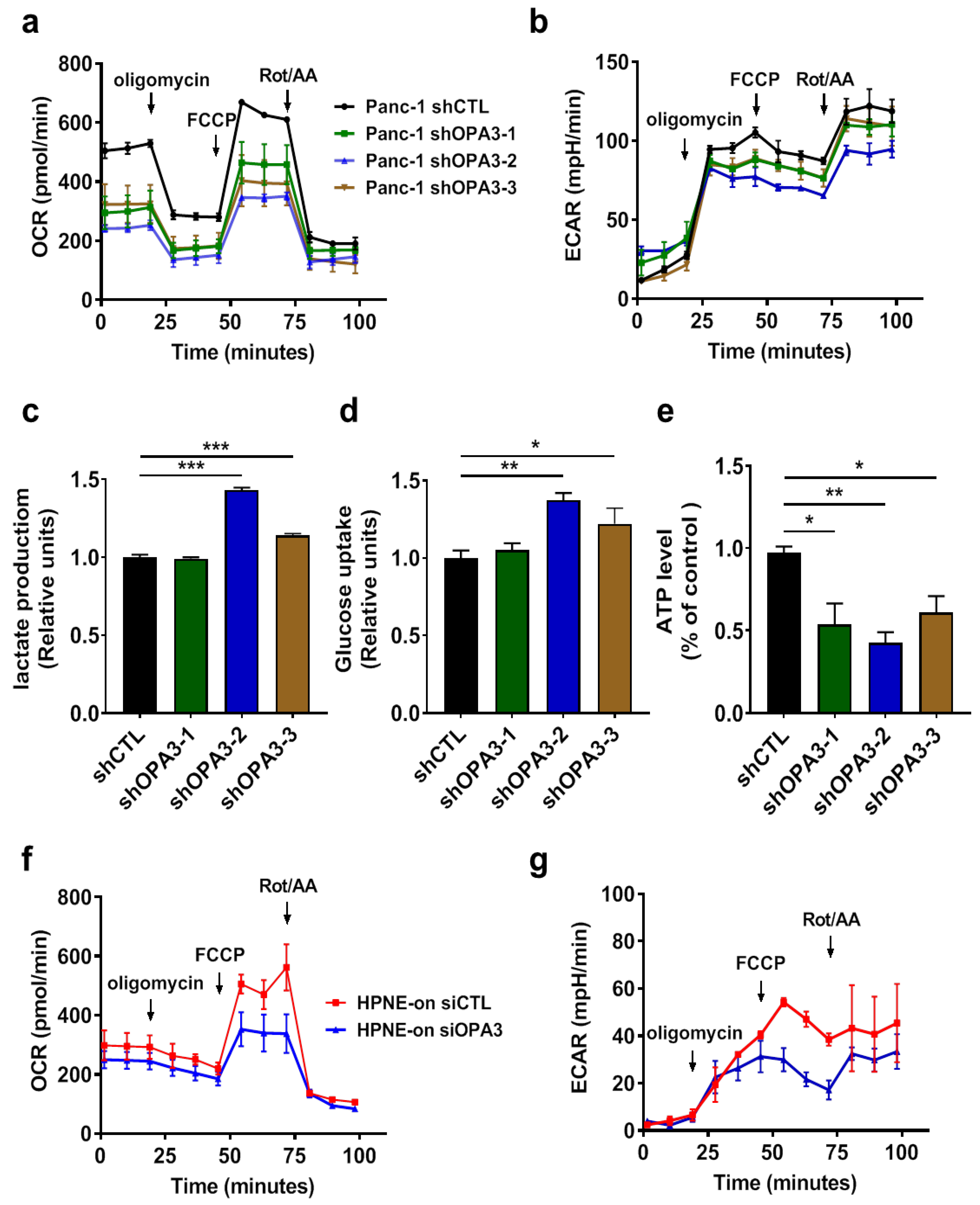 Cancers 12 00065 g003