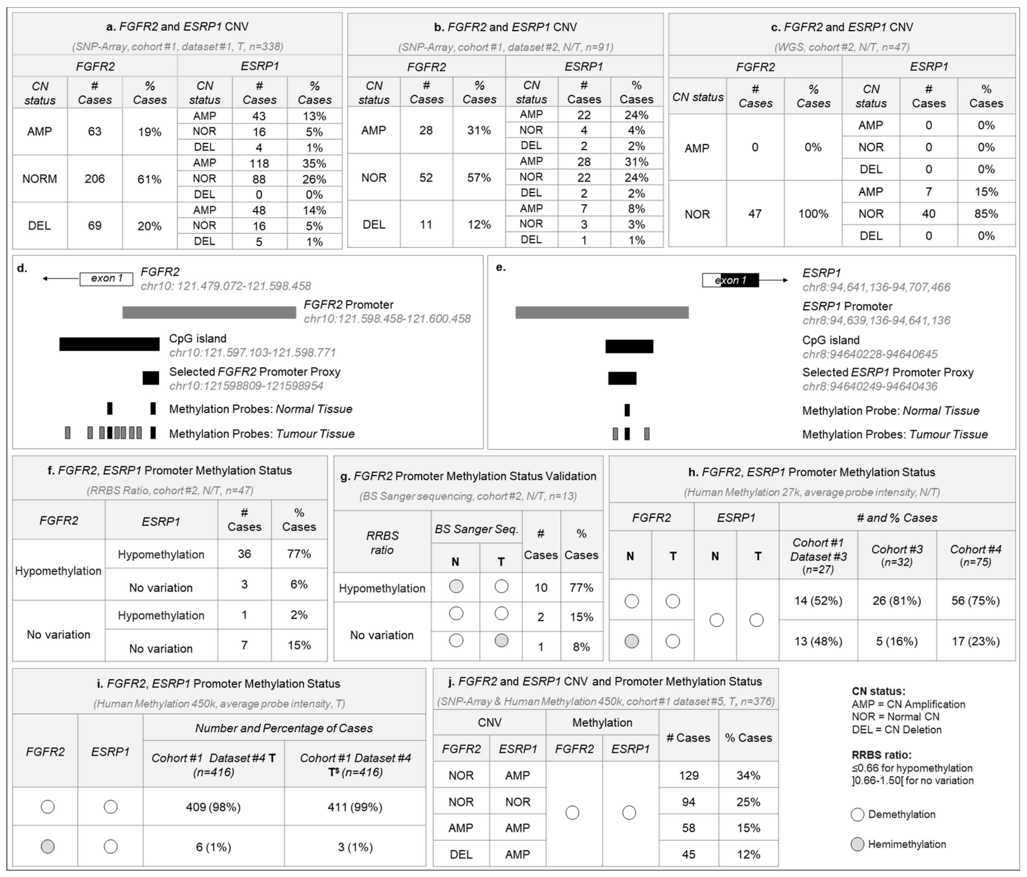Cancers 12 00070 g001 Cancers 12 00070 g001