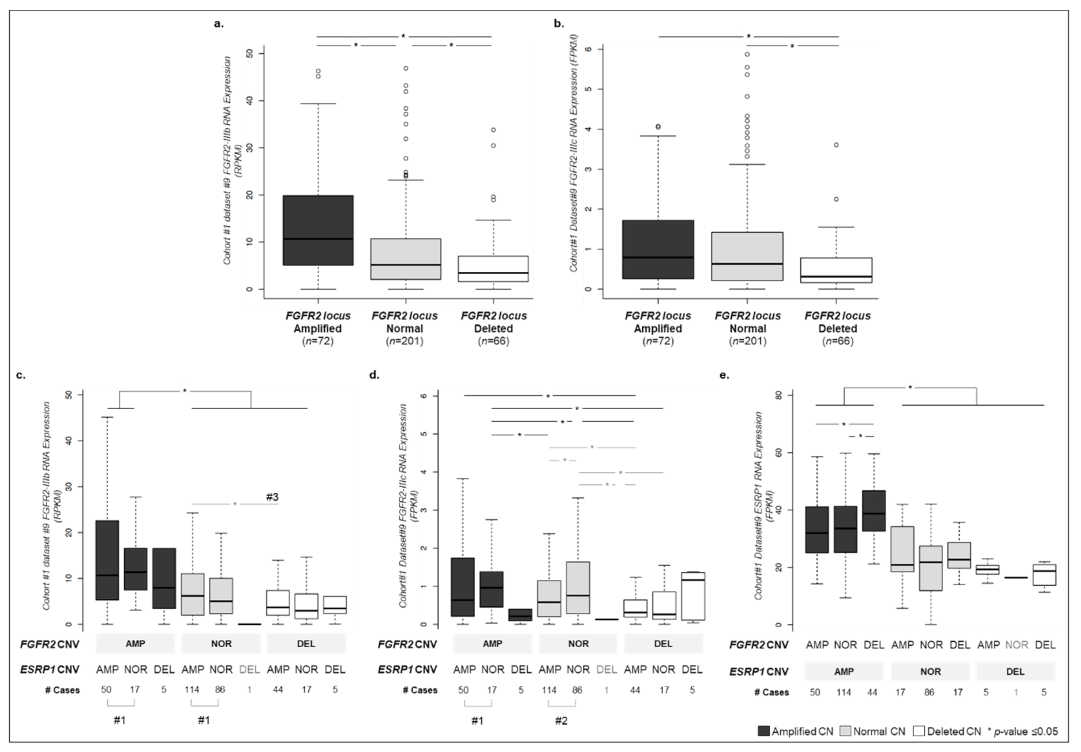 Cancers 12 00070 g003 Cancers 12 00070 g003