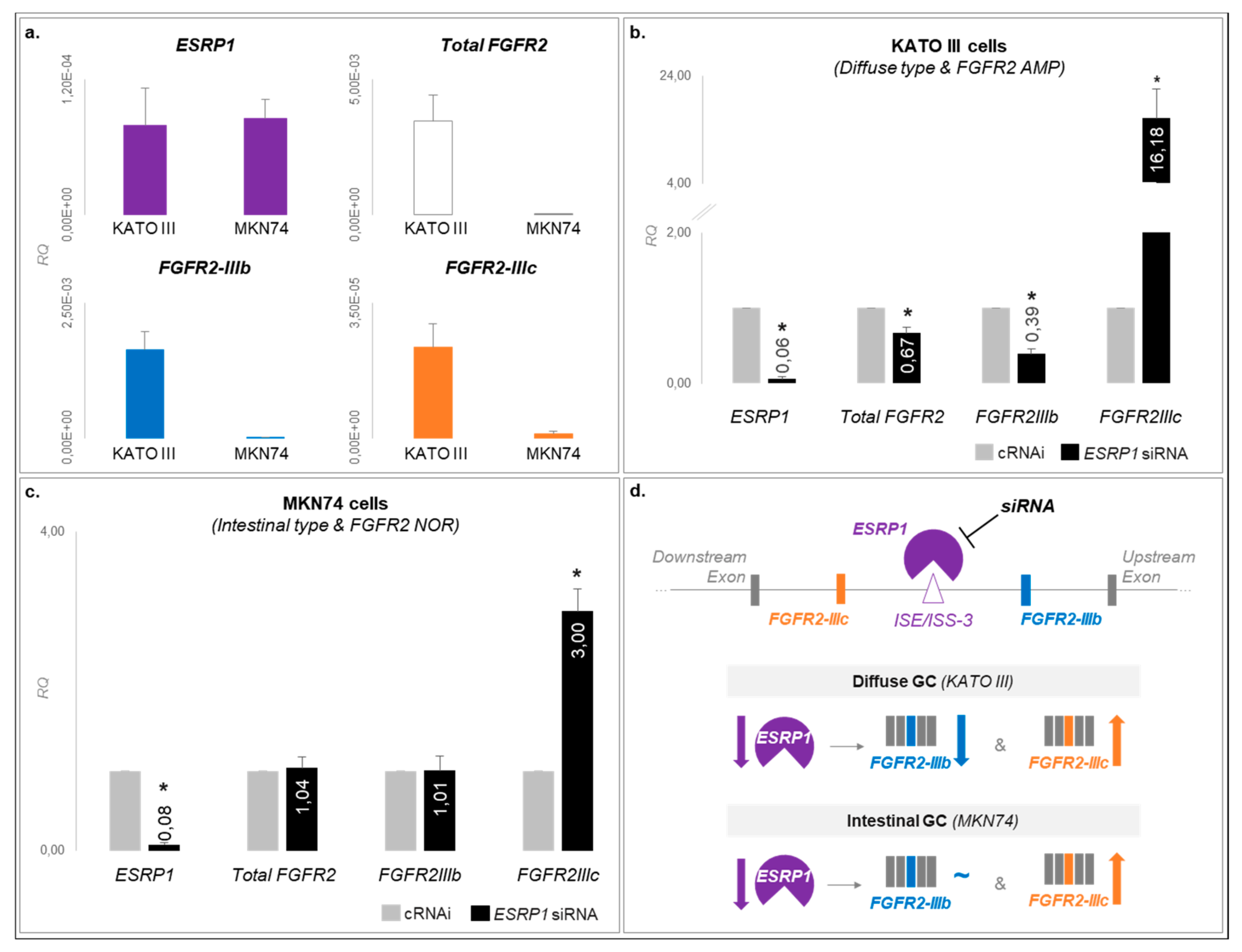 Cancers 12 00070 g005 Cancers 12 00070 g005