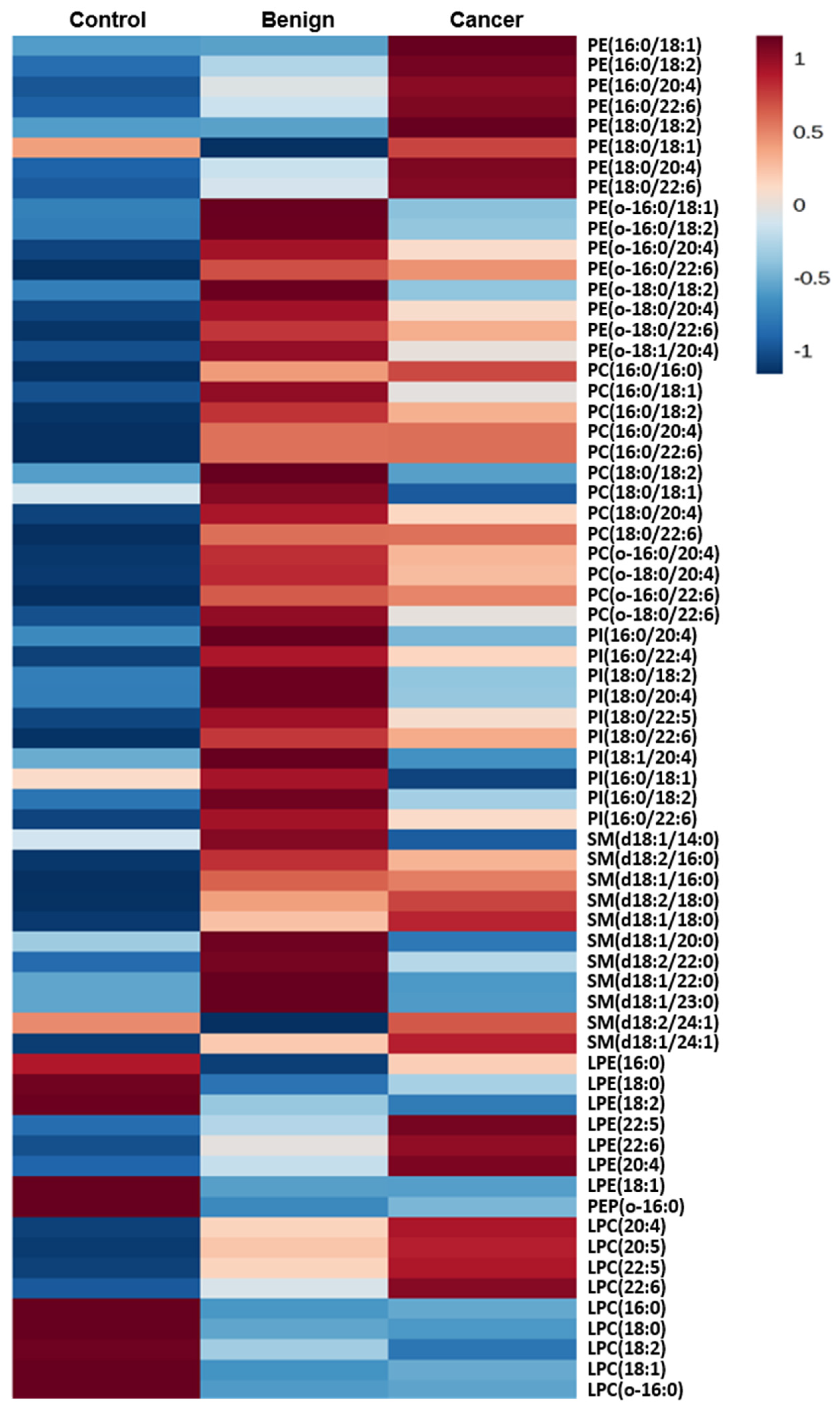 Cancers 12 00072 g002 Cancers 12 00072 g002