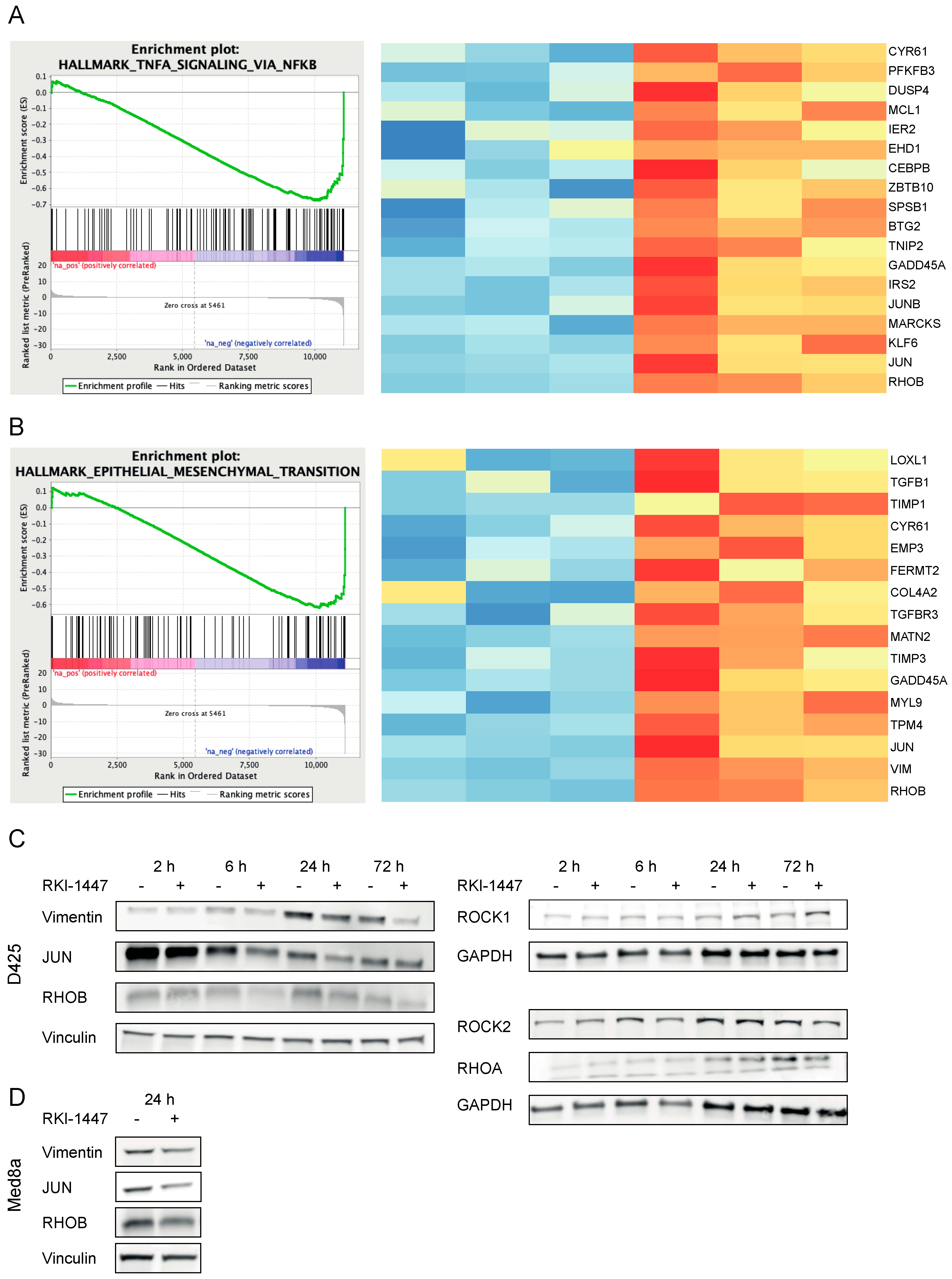 Cancers 12 00073 g005