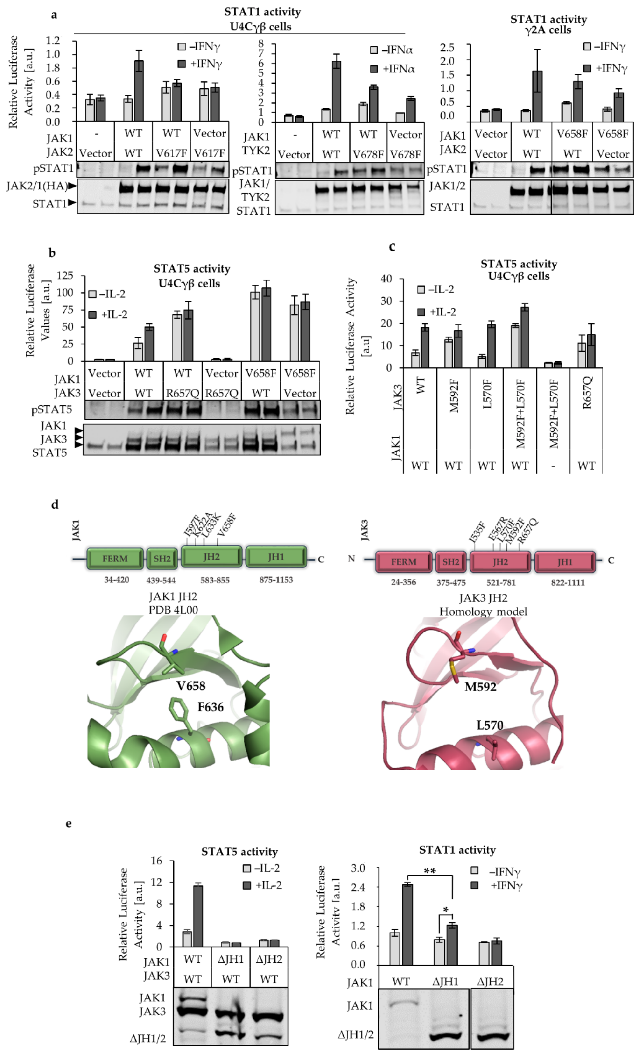 Cancers 12 00078 g001 Cancers 12 00078 g001