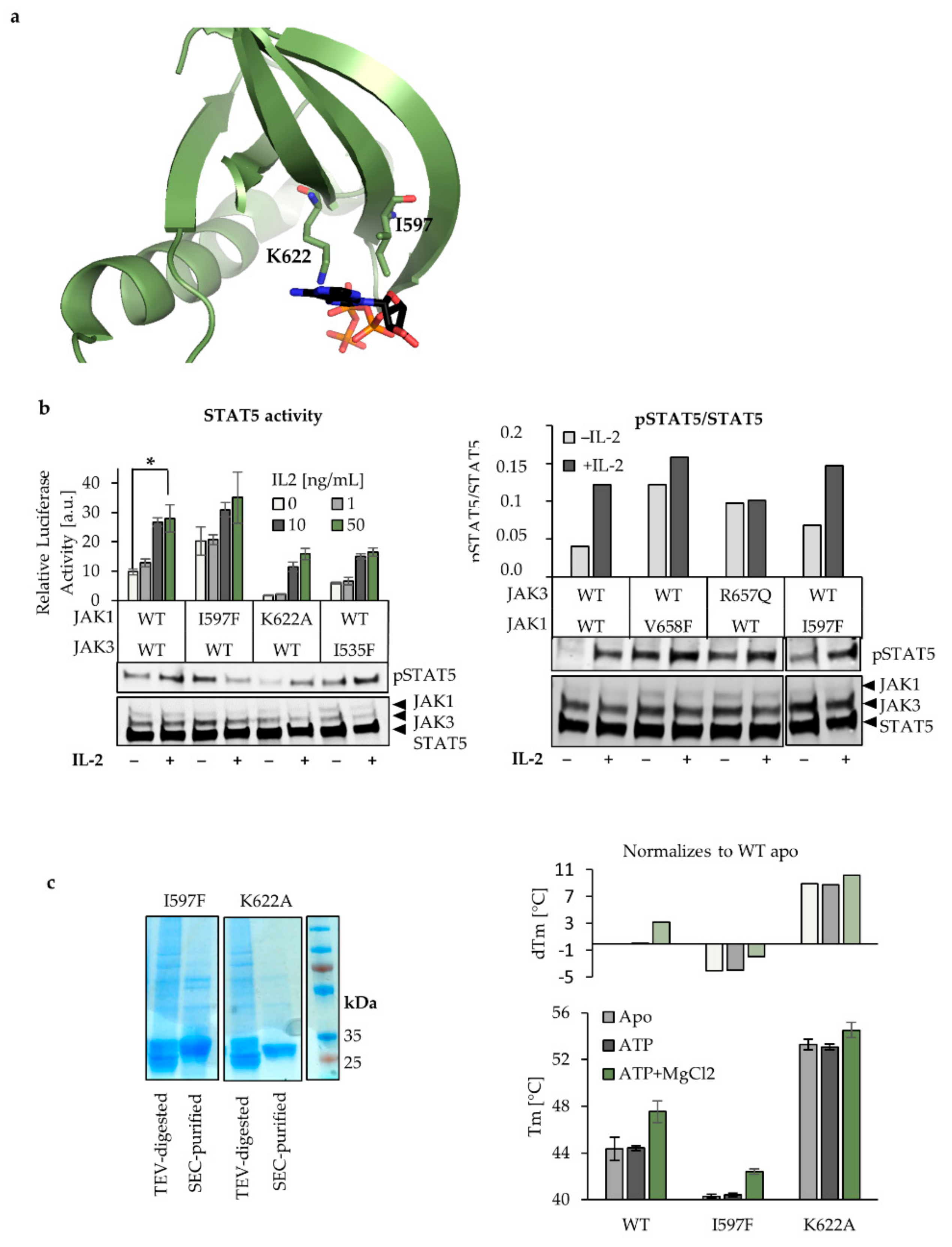 Cancers 12 00078 g003 Cancers 12 00078 g003