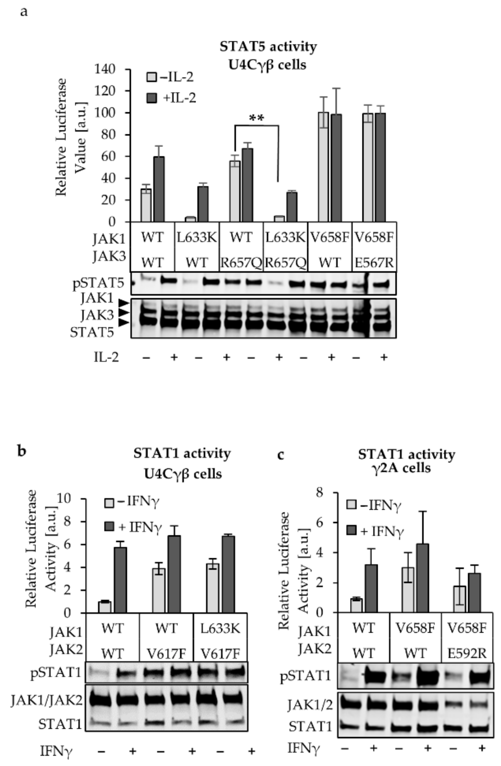 Cancers 12 00078 g004 Cancers 12 00078 g004