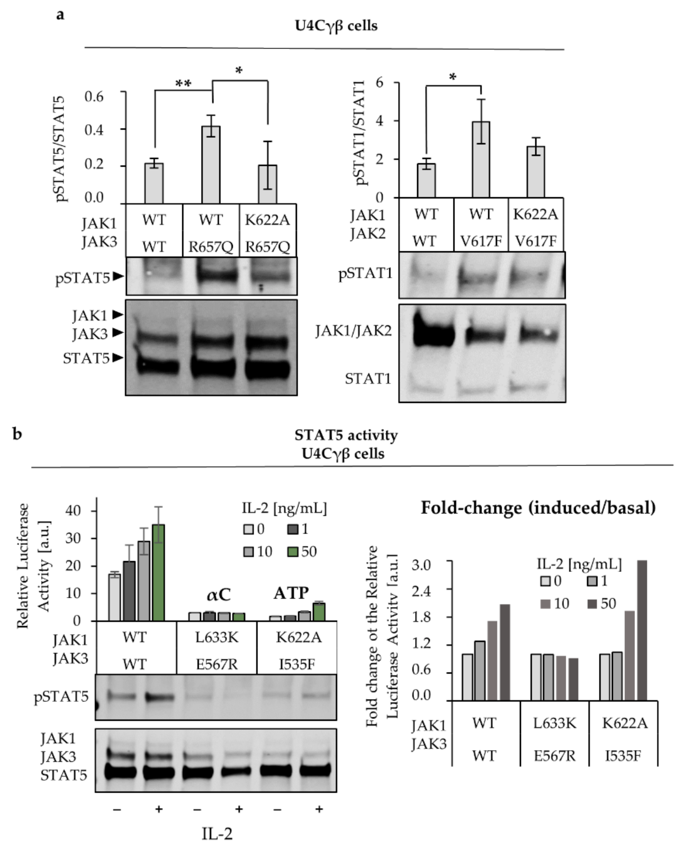 Cancers 12 00078 g005 Cancers 12 00078 g005