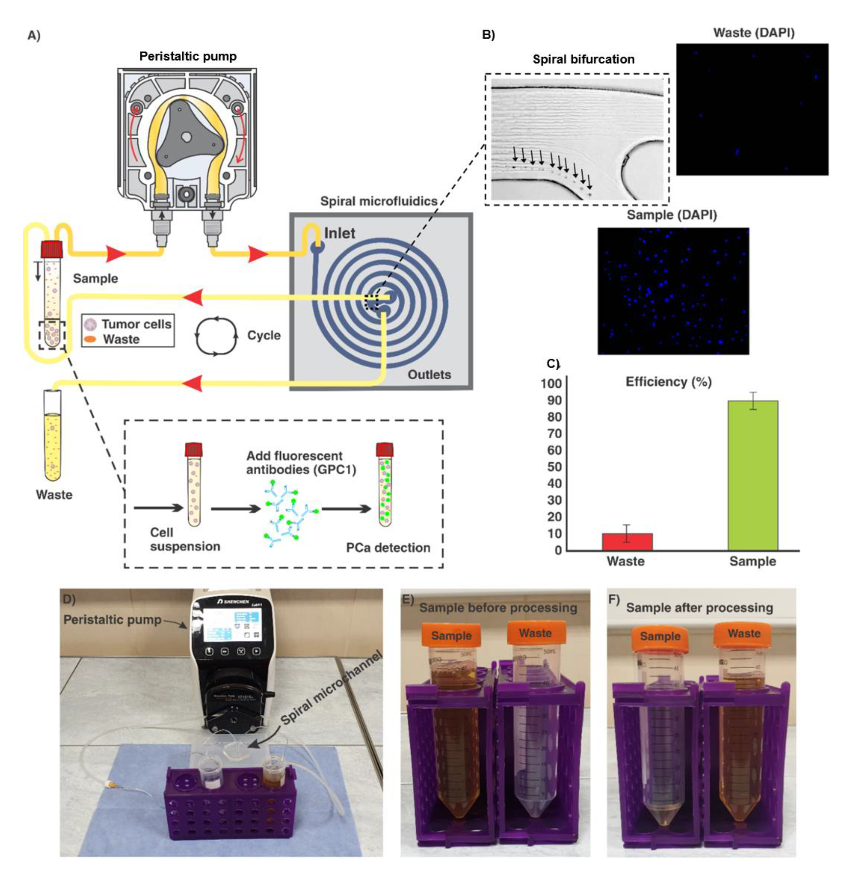 Cancers 12 00081 g002 Cancers 12 00081 g002