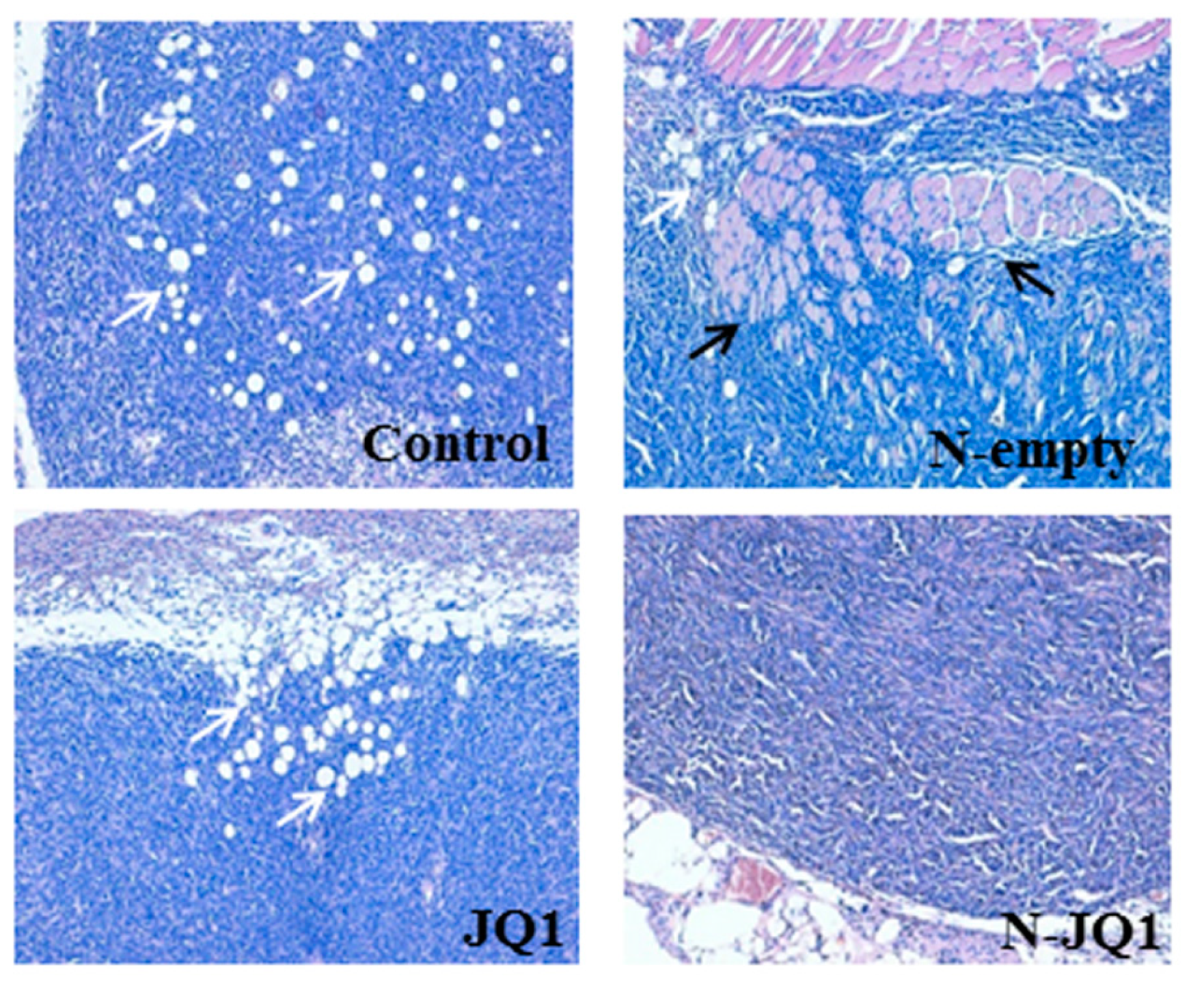 Cancers 12 00091 g006 Cancers 12 00091 g006