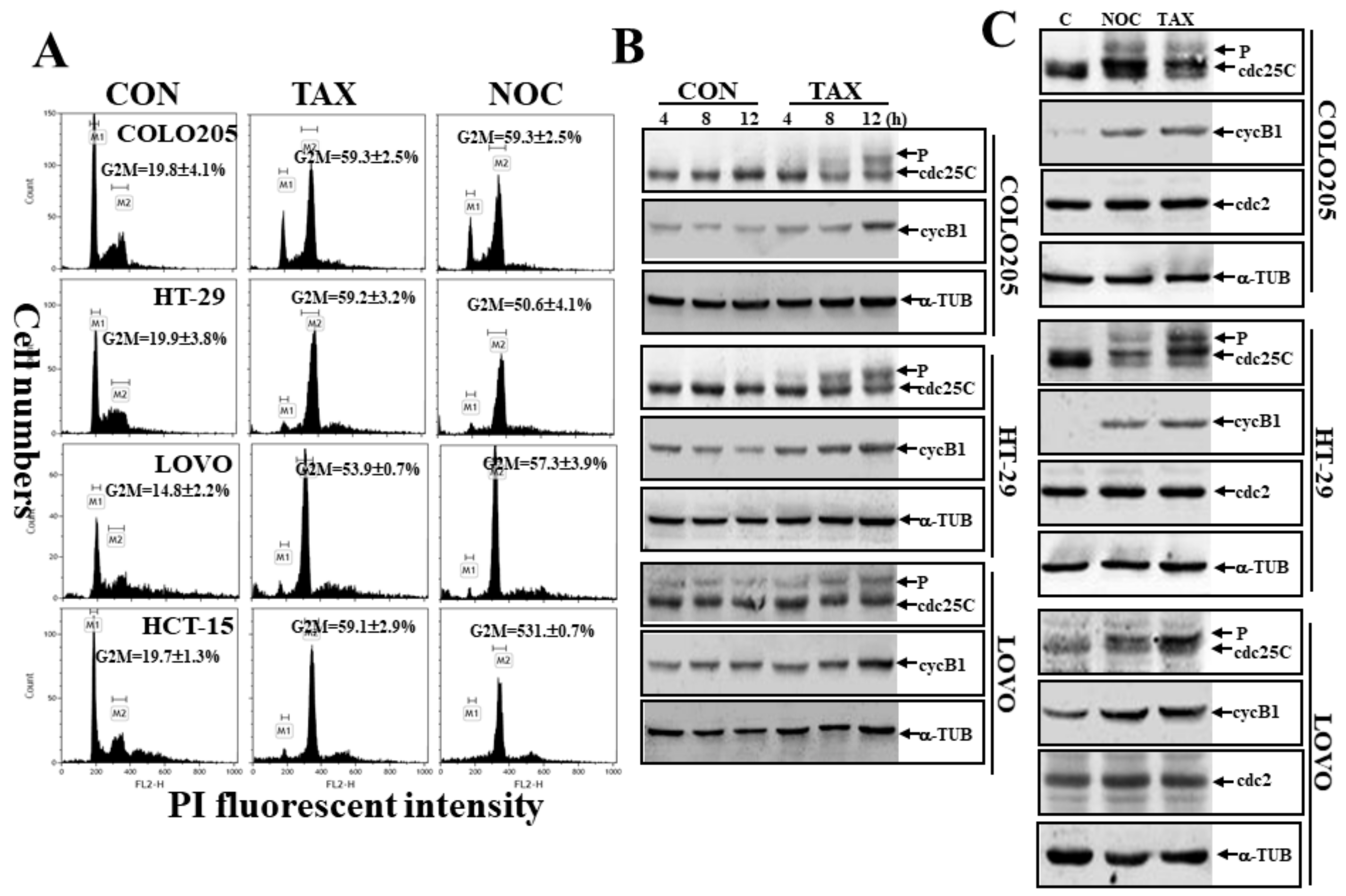 Cancers 12 00097 g002 Cancers 12 00097 g002