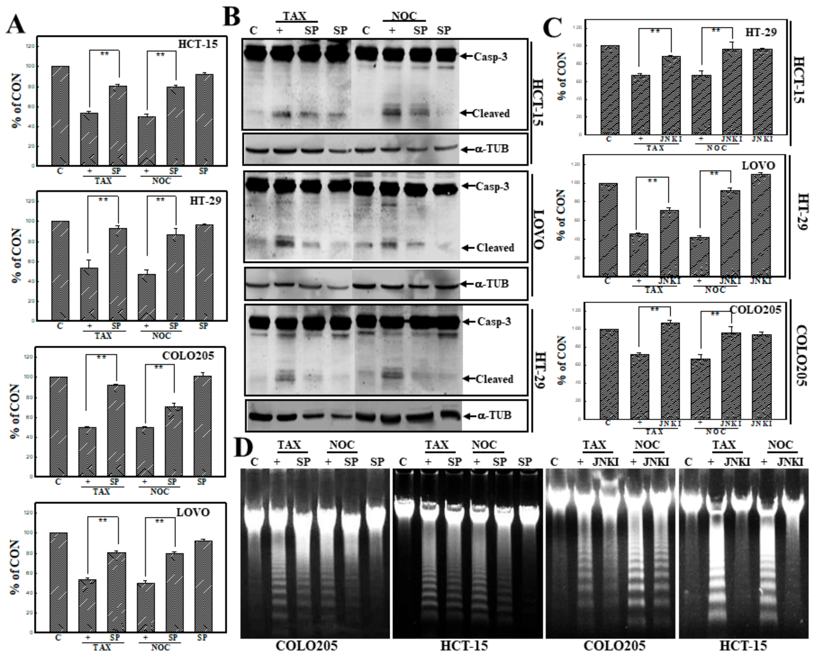 Cancers 12 00097 g003 Cancers 12 00097 g003