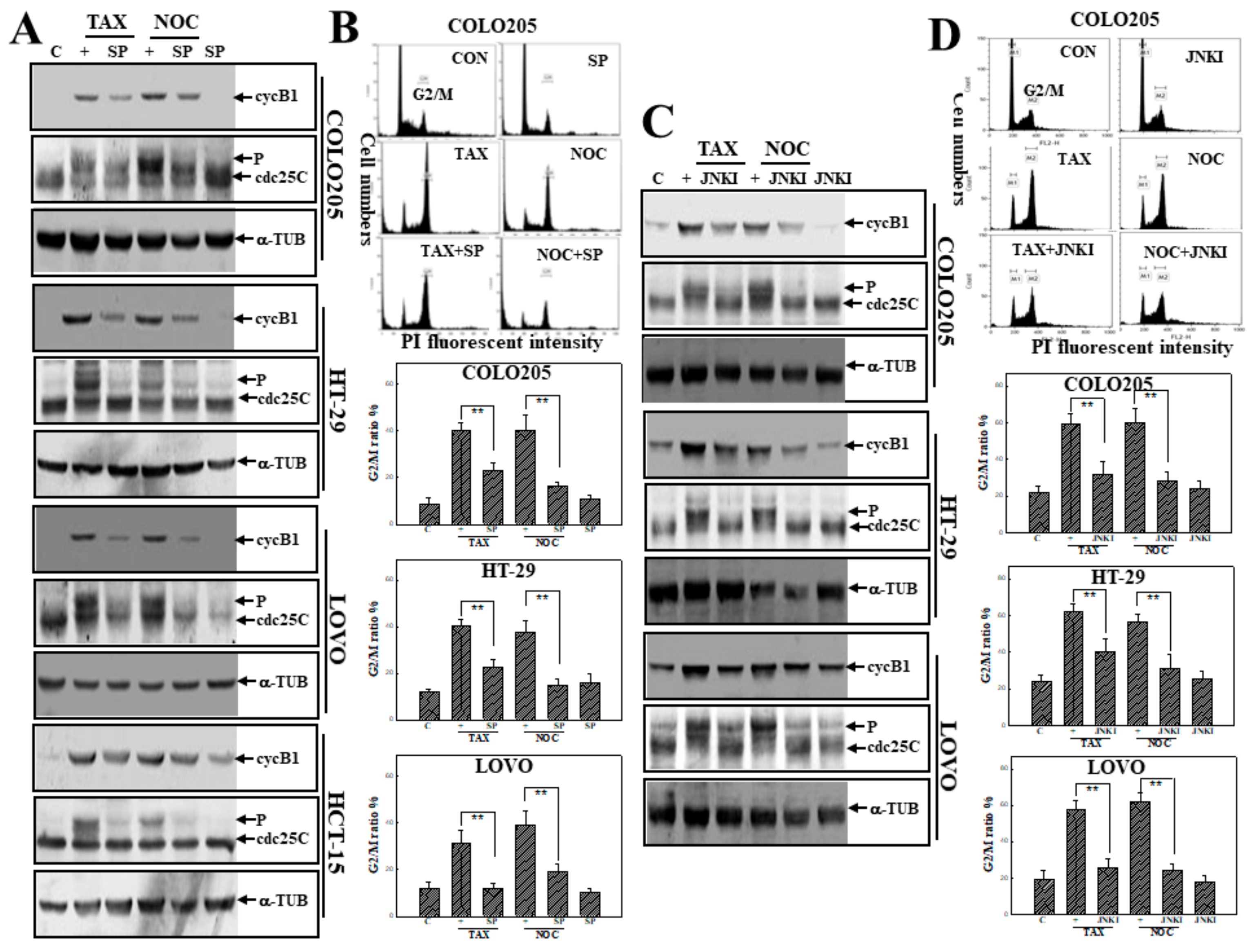 Cancers 12 00097 g004 Cancers 12 00097 g004