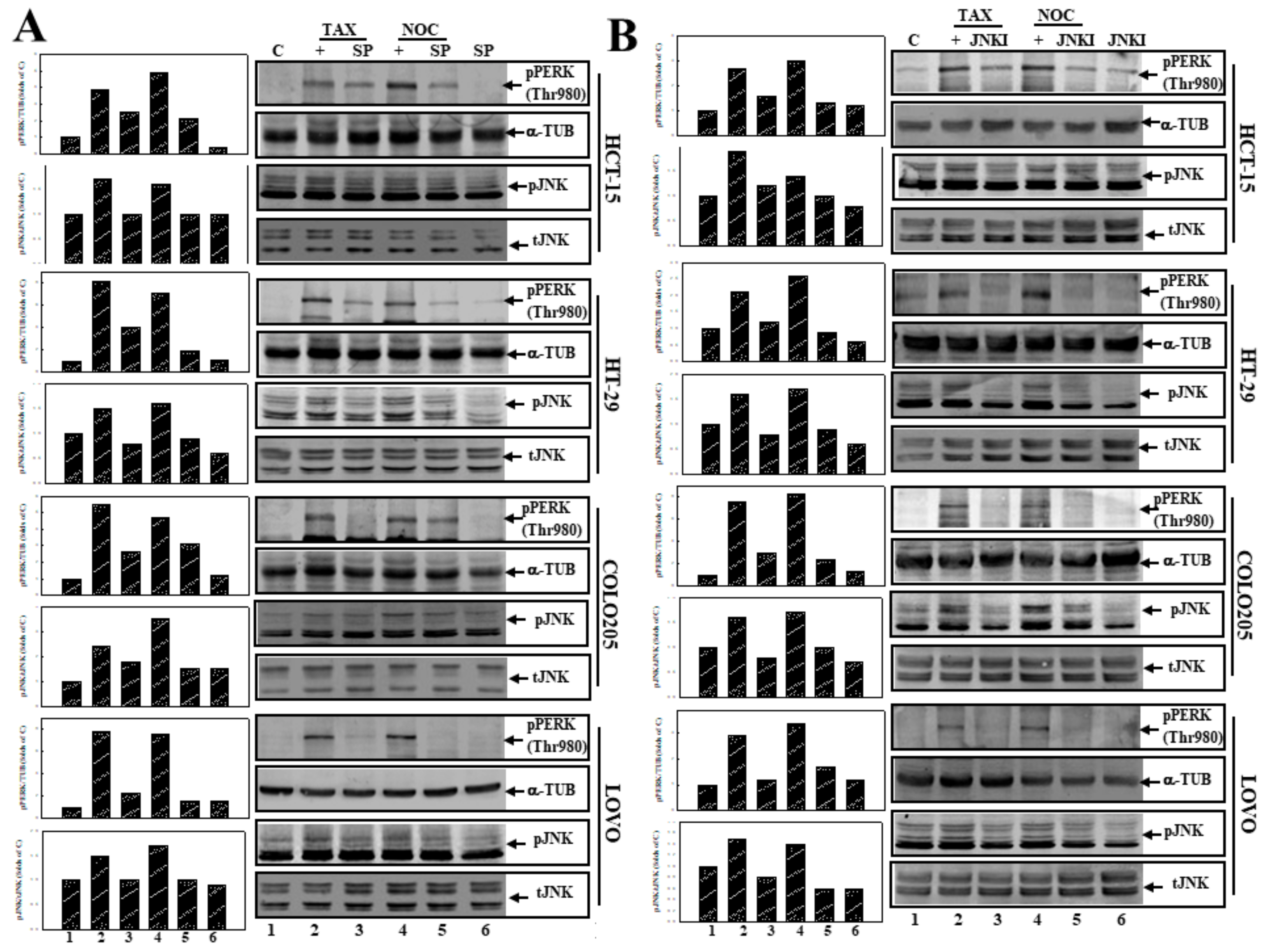 Cancers 12 00097 g005 Cancers 12 00097 g005