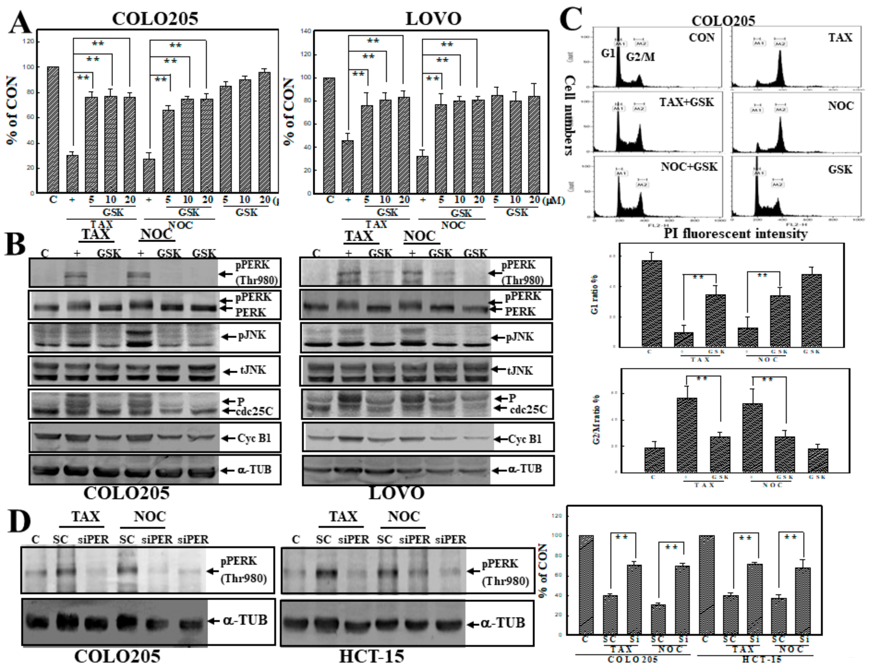 Cancers 12 00097 g006 Cancers 12 00097 g006