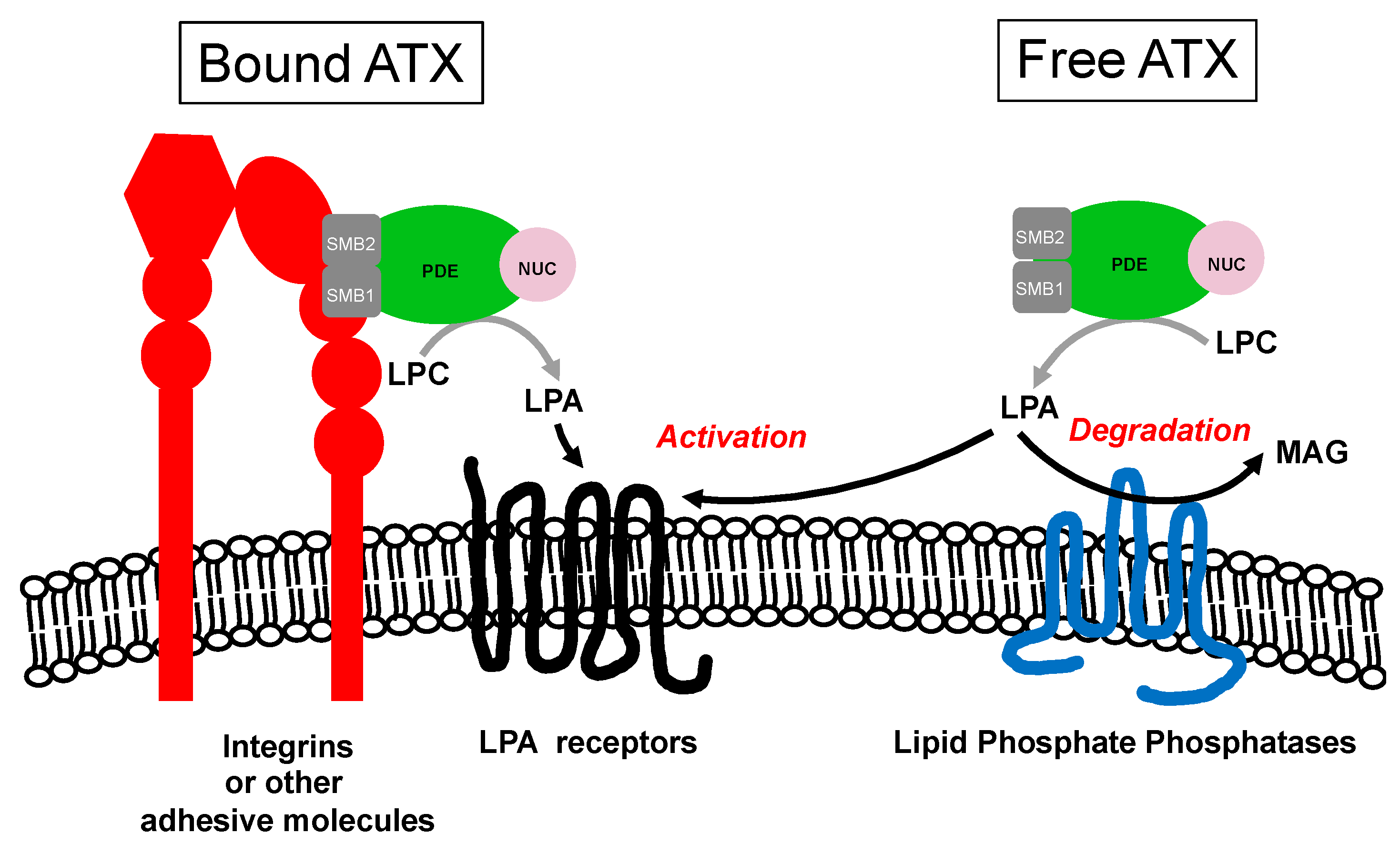 Cancers 12 00105 g002 Cancers 12 00105 g002