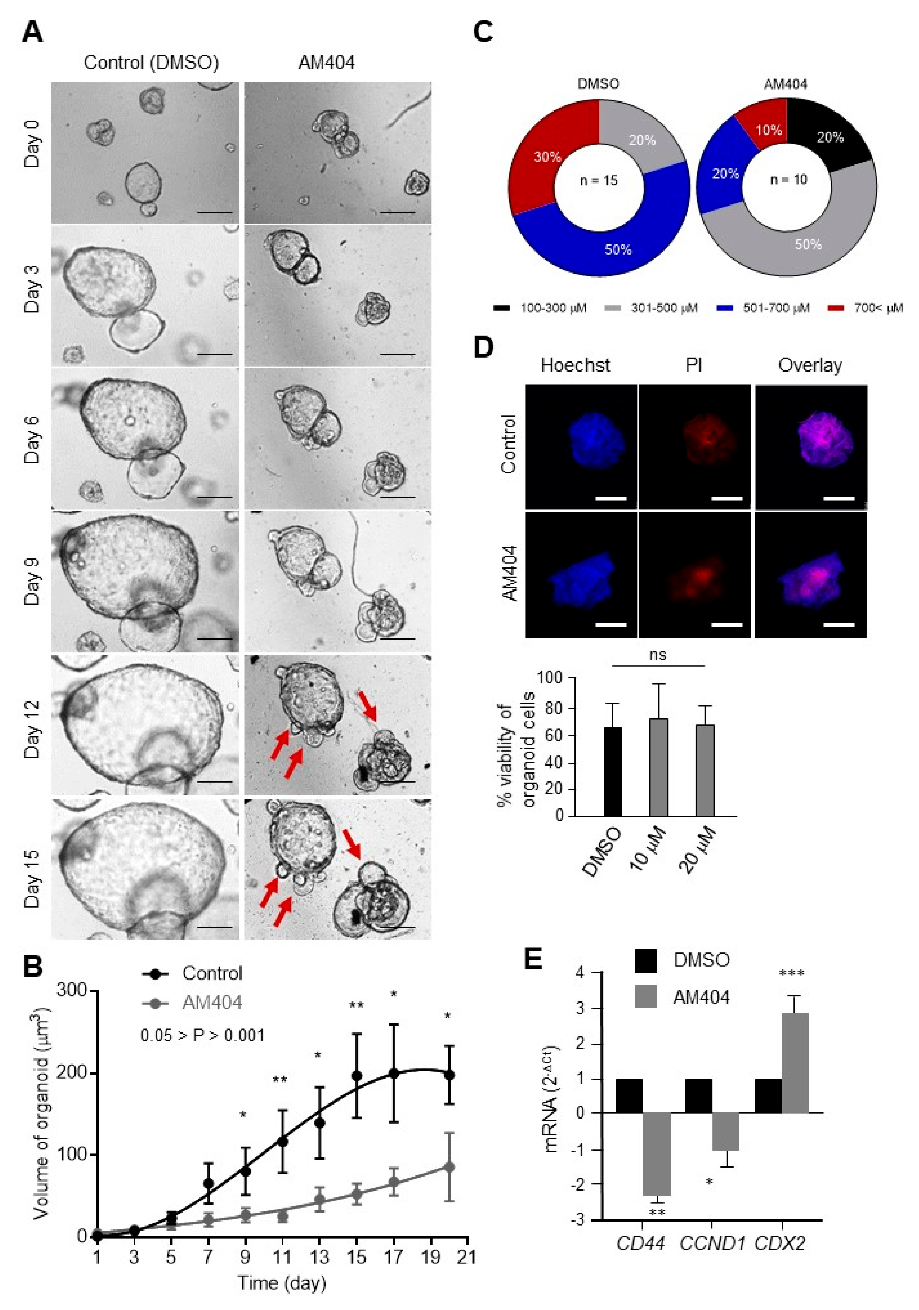 Cancers 12 00106 g003