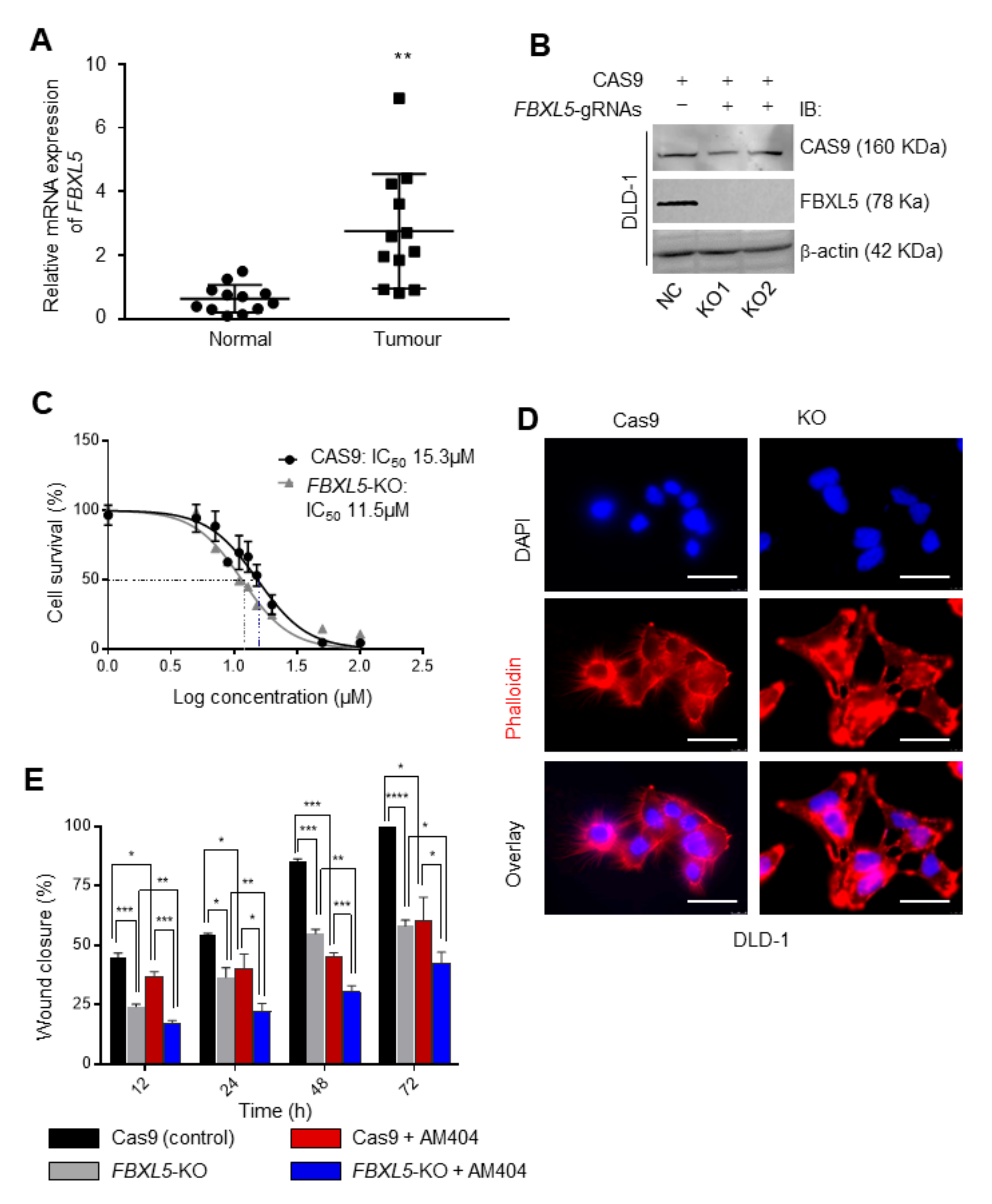 Cancers 12 00106 g006