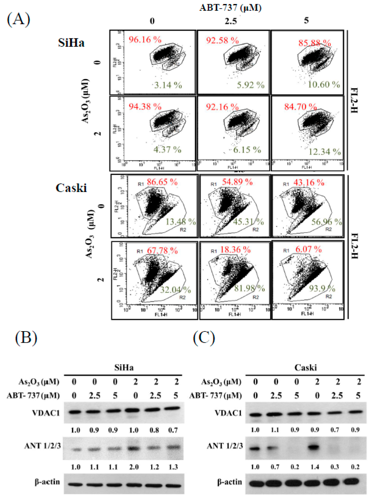 Cancers 12 00108 g003 Cancers 12 00108 g003