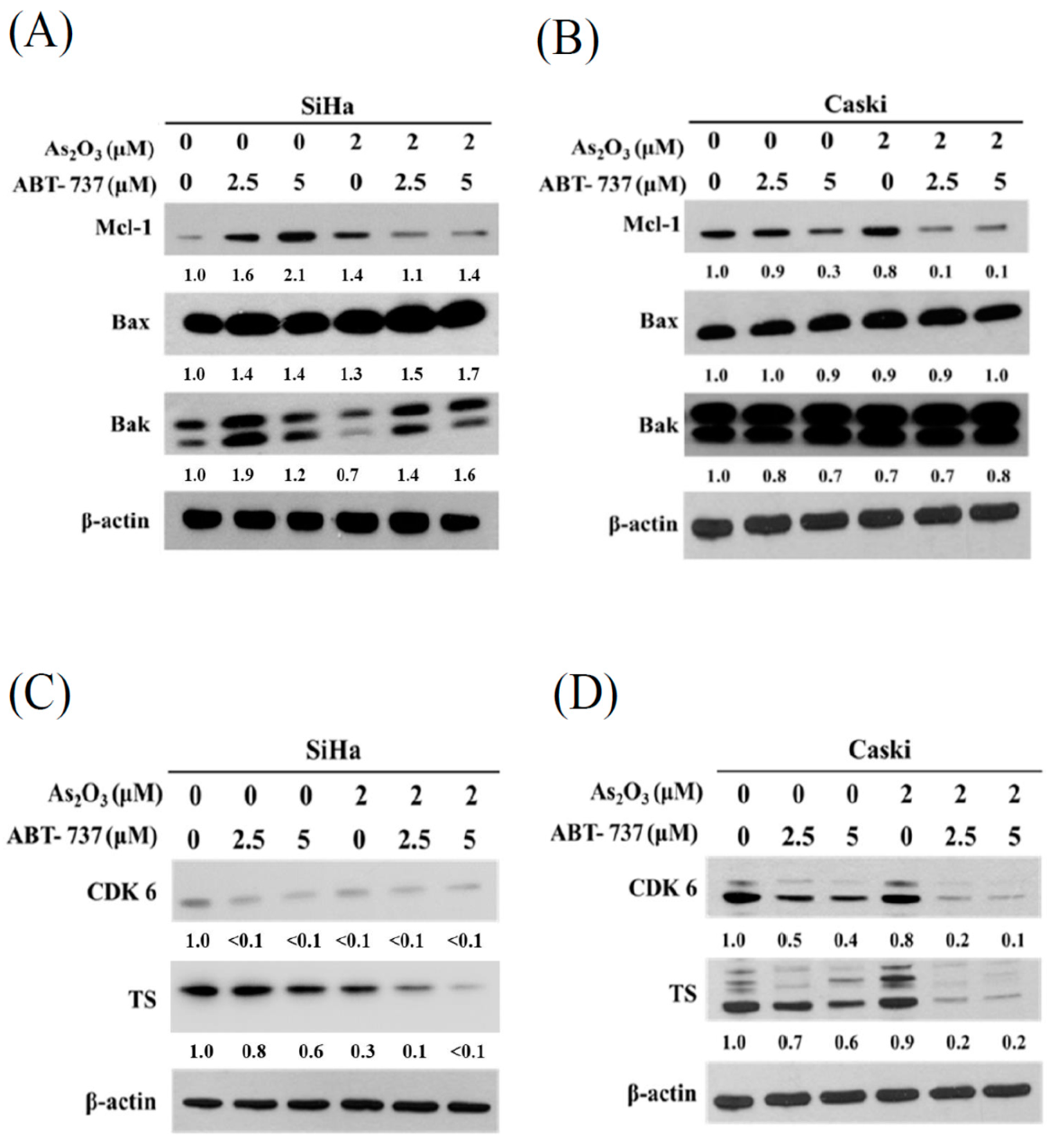 Cancers 12 00108 g005 Cancers 12 00108 g005