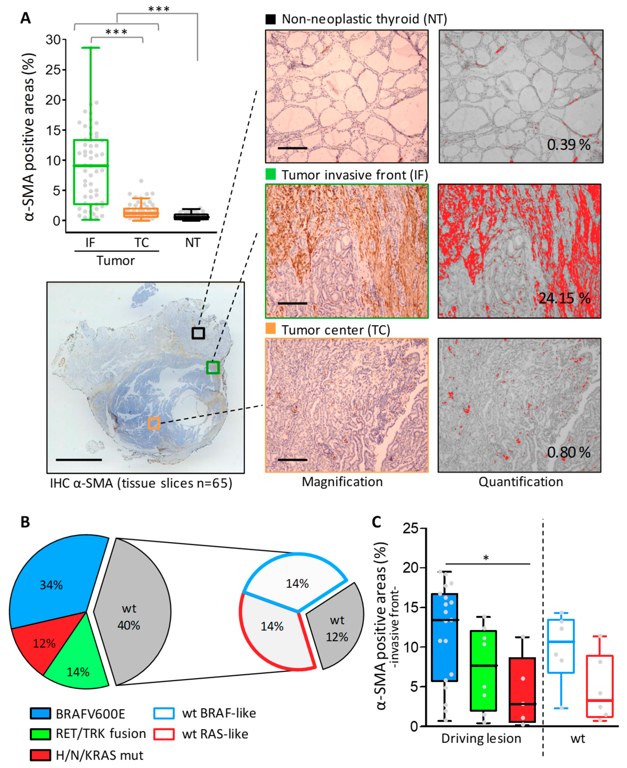 Cancers 12 00112 g001 Cancers 12 00112 g001