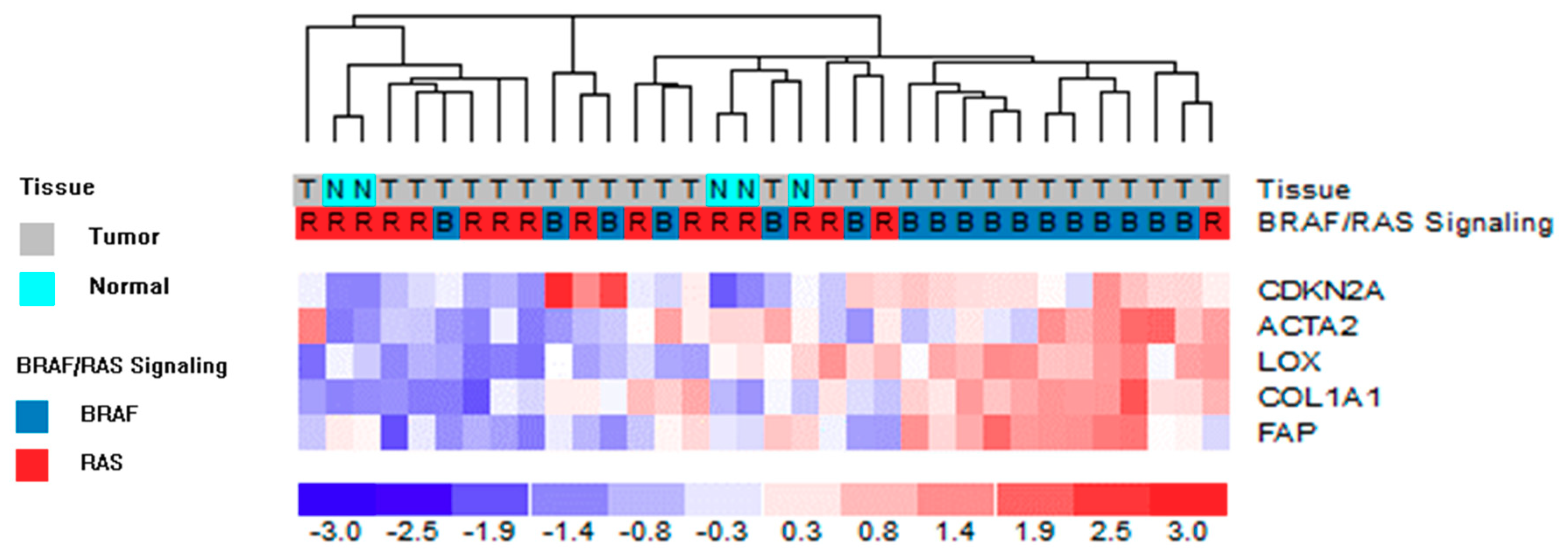 Cancers 12 00112 g005 Cancers 12 00112 g005