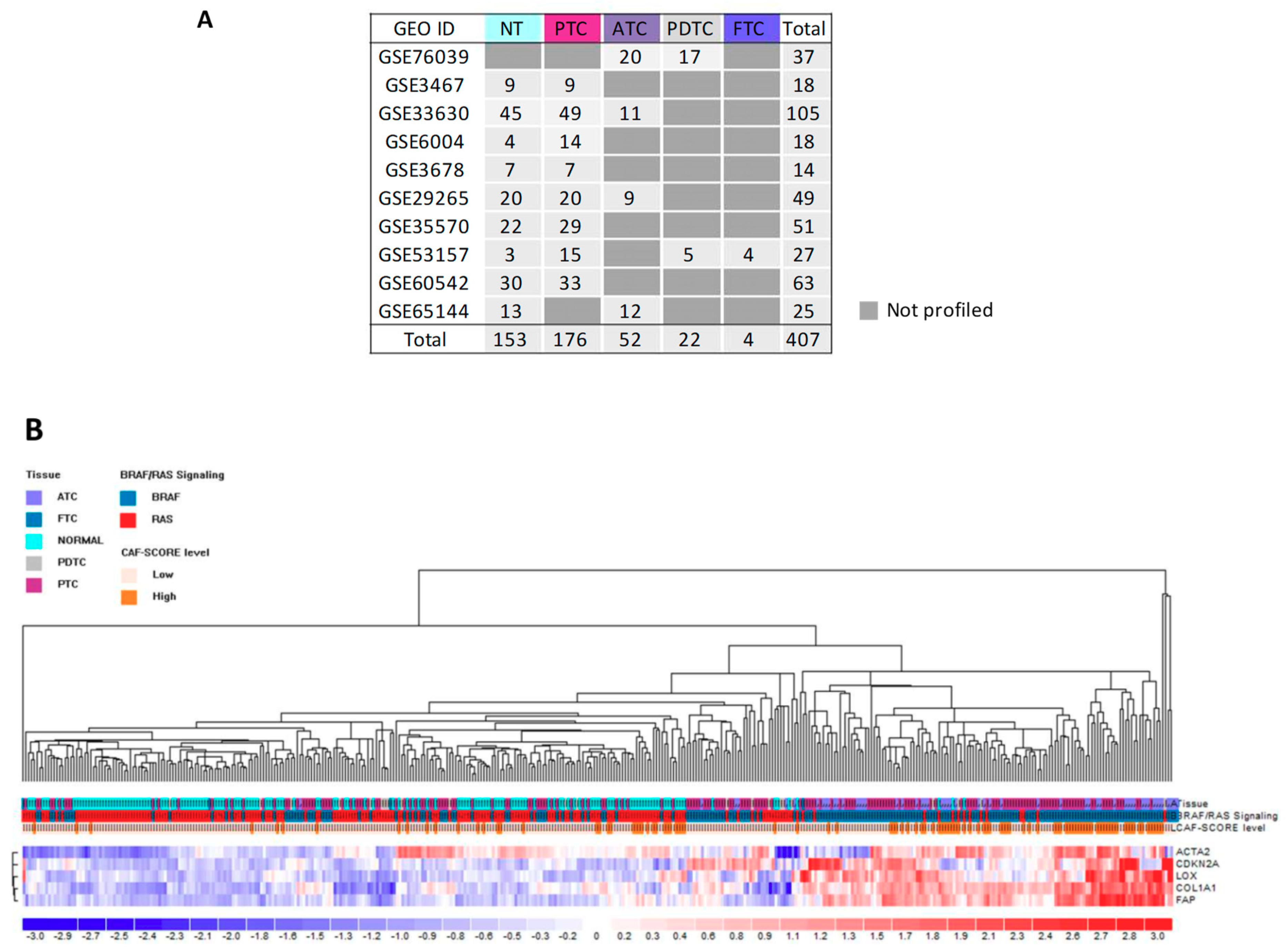 Cancers 12 00112 g006 Cancers 12 00112 g006
