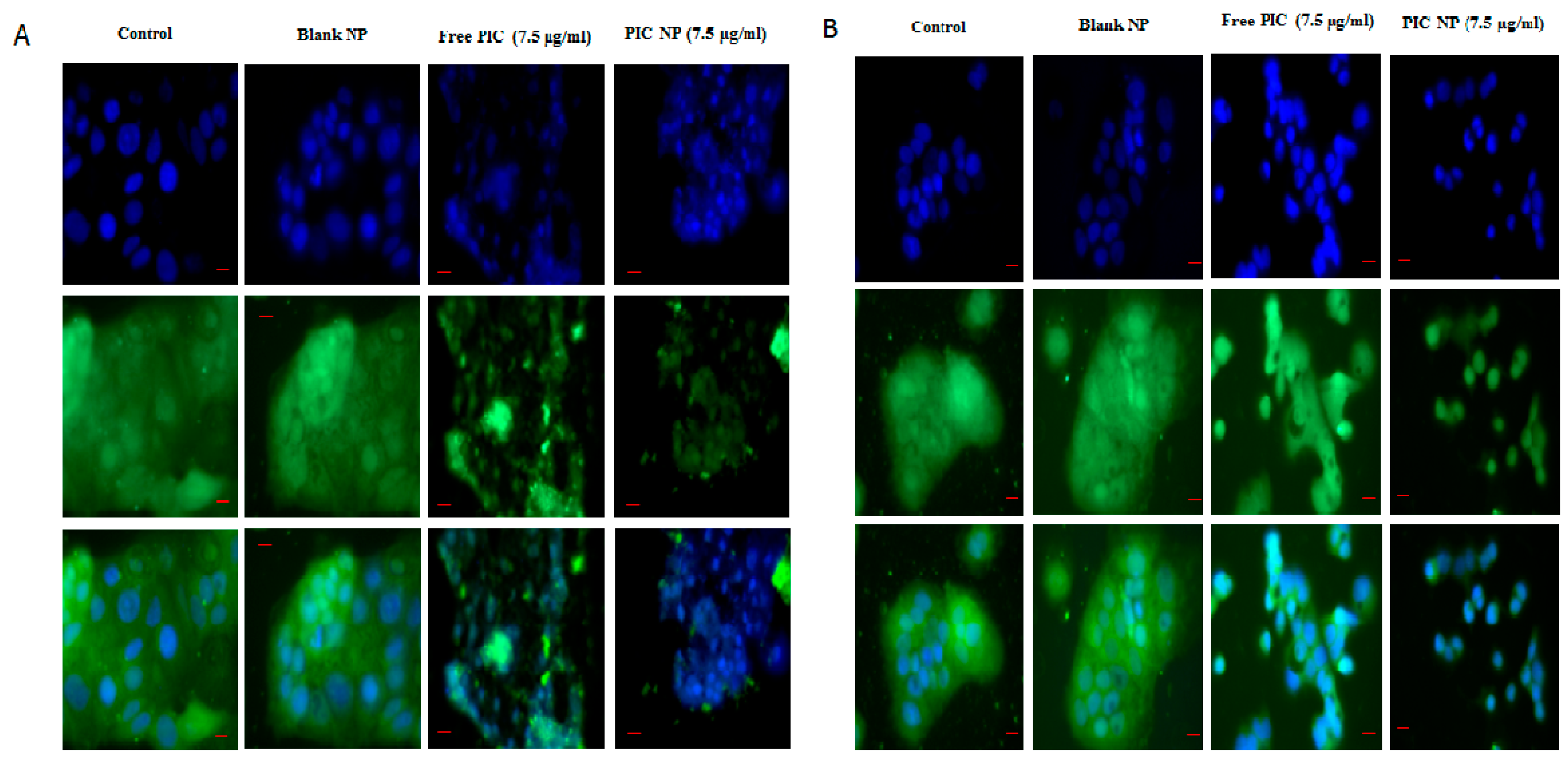 Cancers 12 00113 g006 Cancers 12 00113 g006