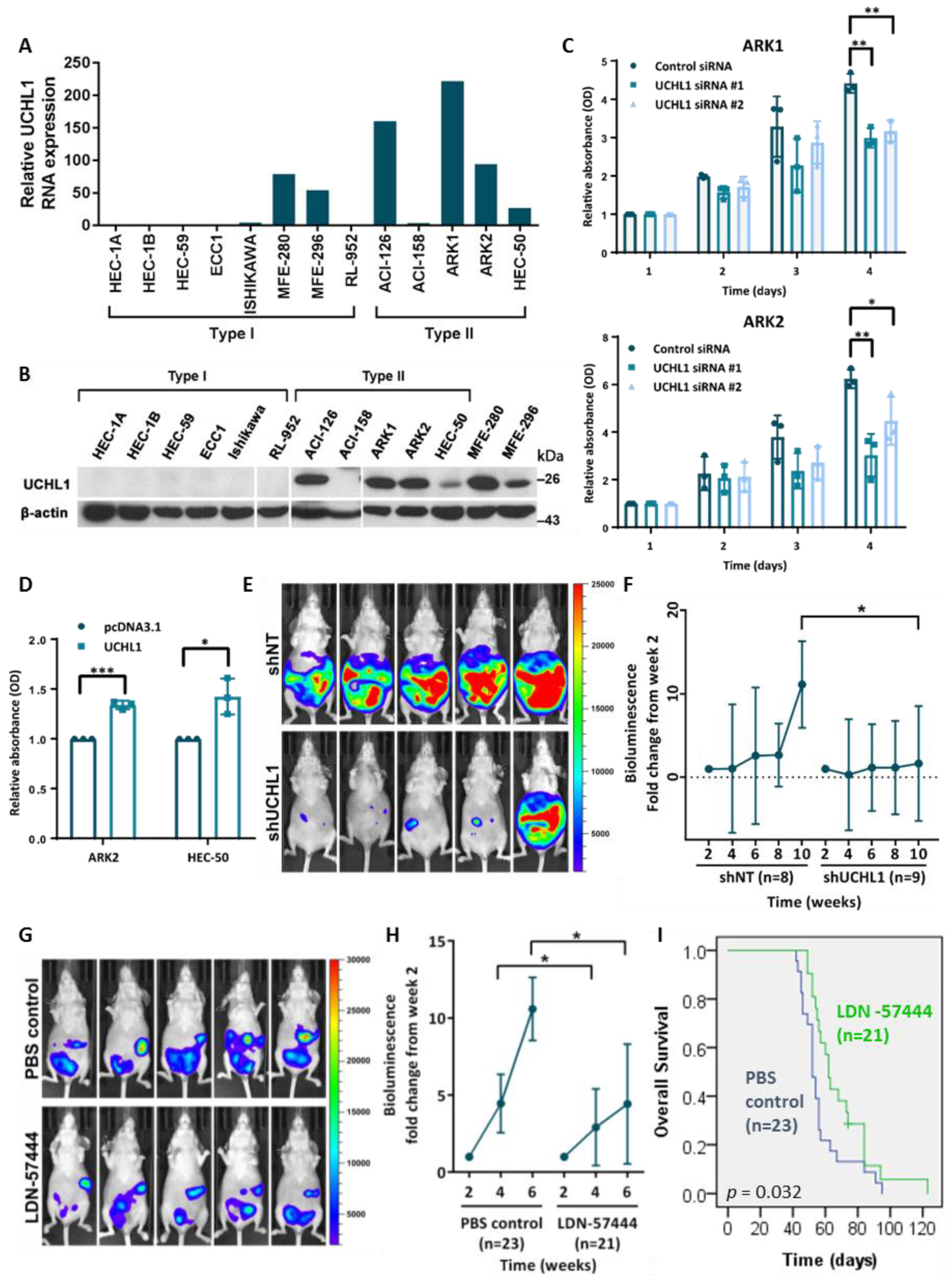 Cancers 12 00118 g002