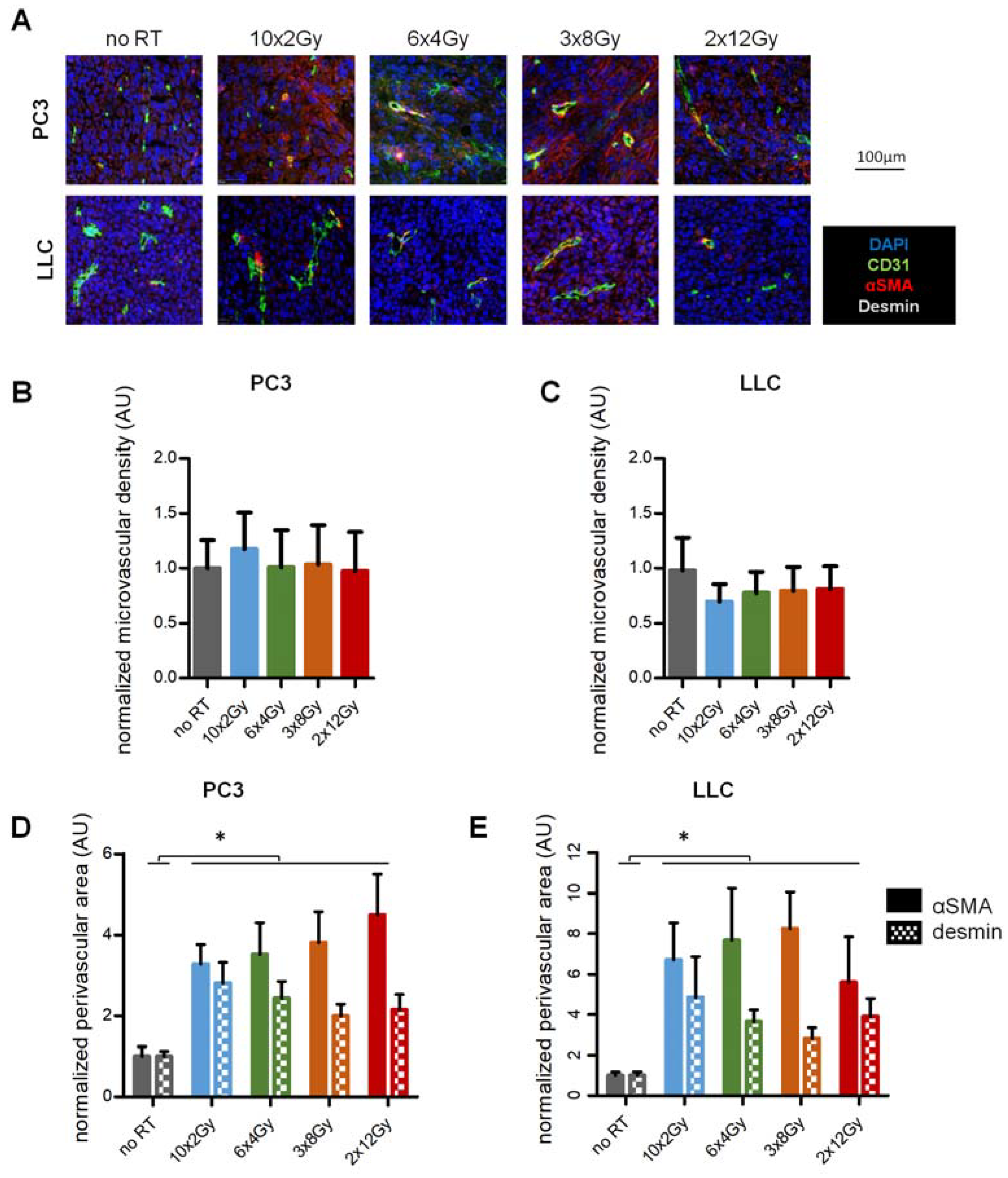 Cancers 12 00121 g002 Cancers 12 00121 g002