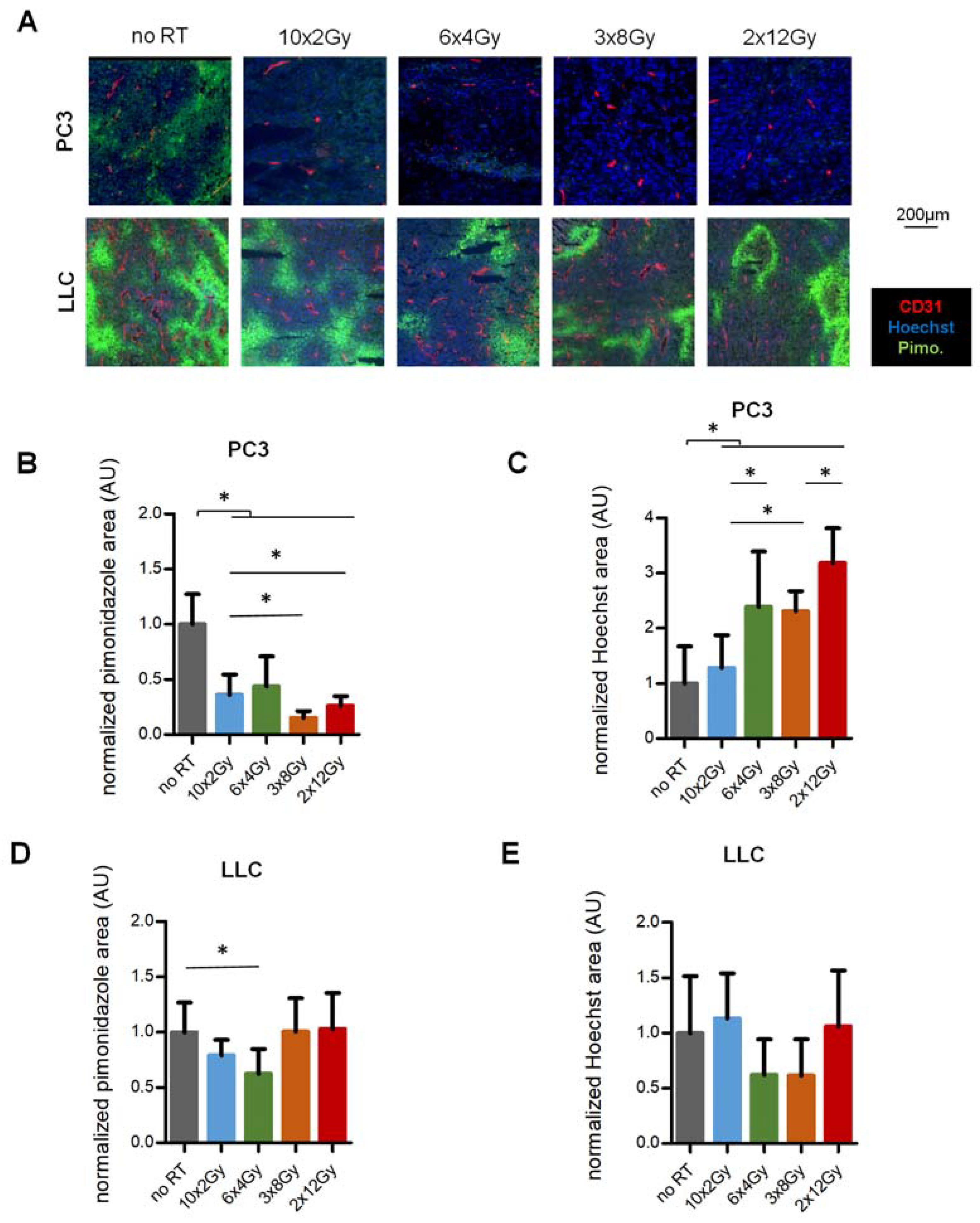 Cancers 12 00121 g003 Cancers 12 00121 g003