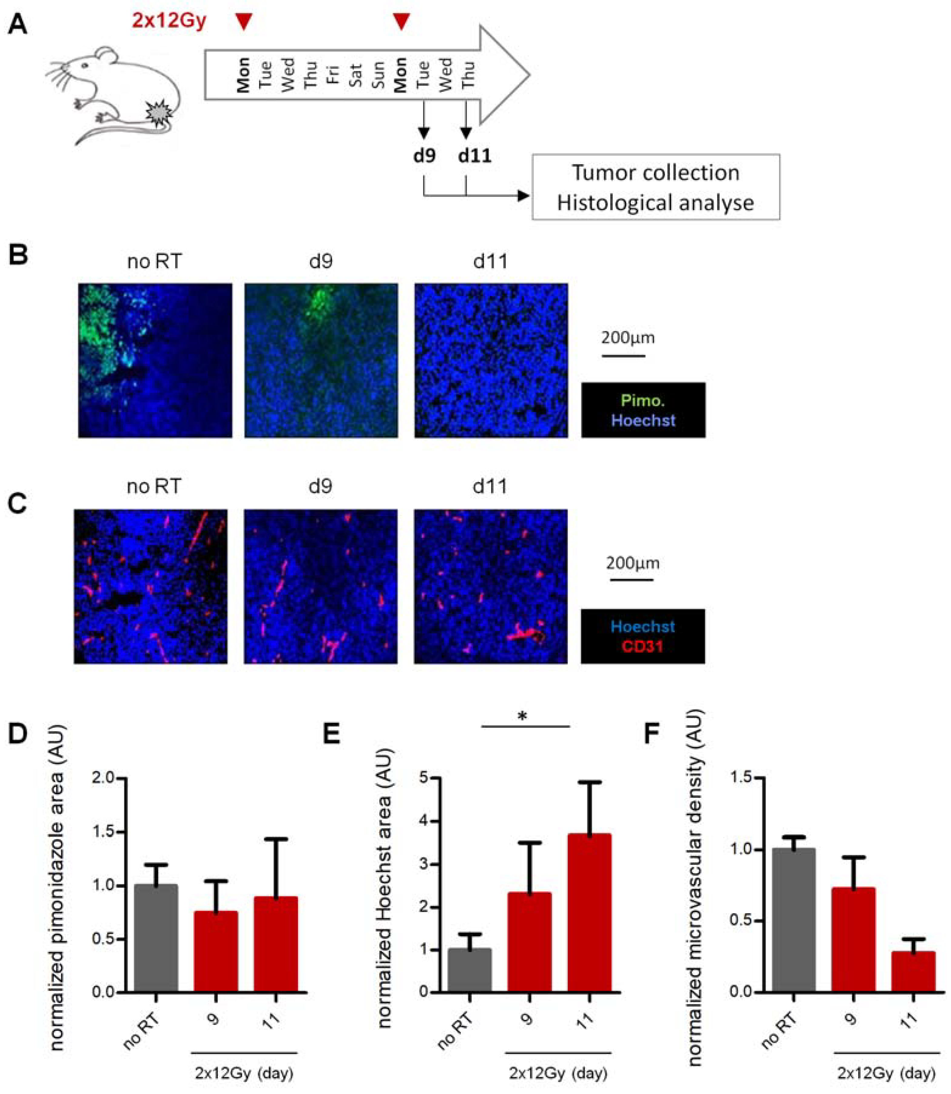 Cancers 12 00121 g004 Cancers 12 00121 g004