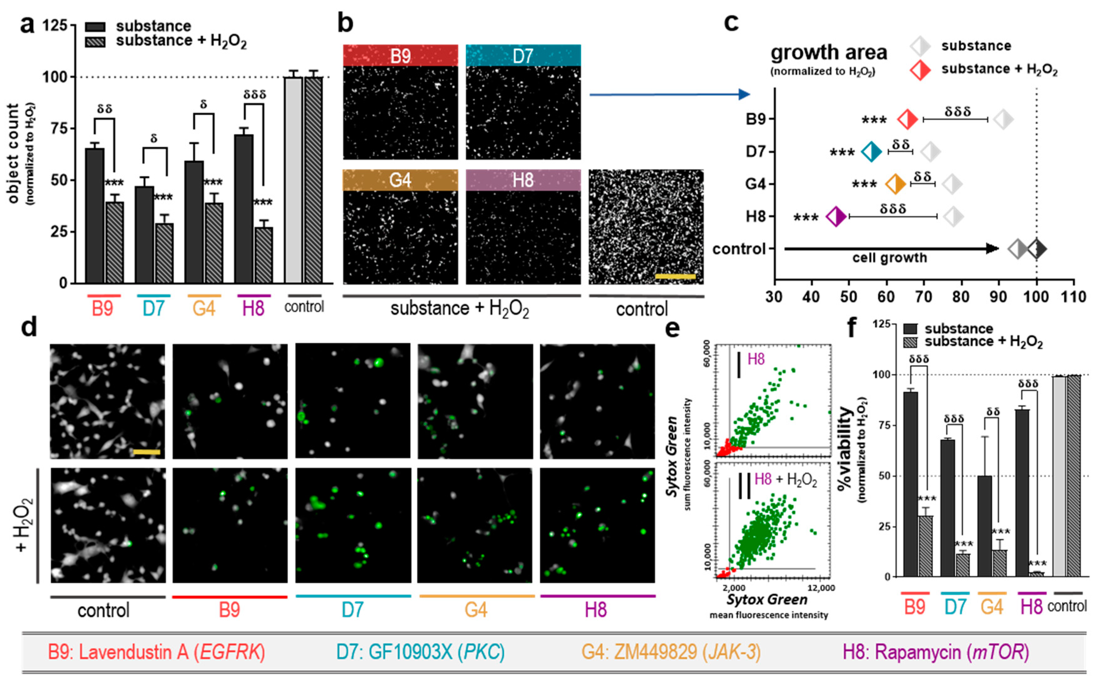 Cancers 12 00122 g002 Cancers 12 00122 g002