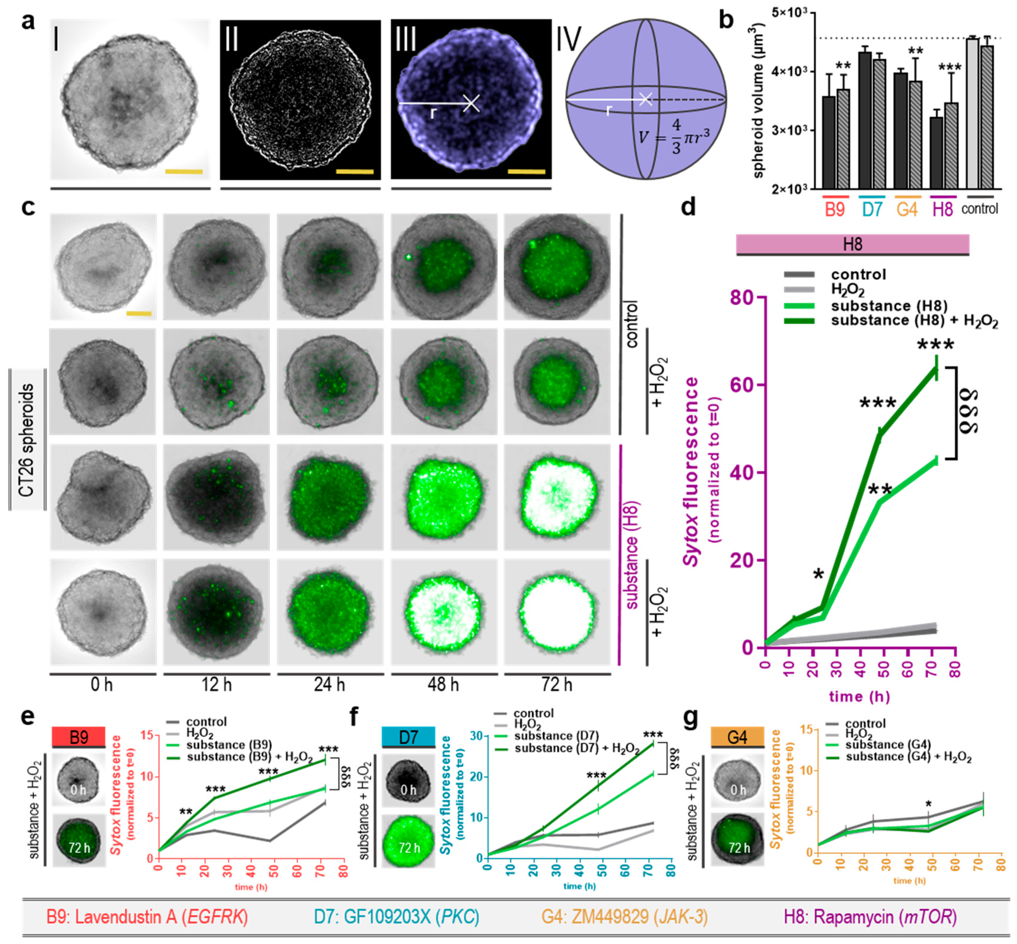 Cancers 12 00122 g004 Cancers 12 00122 g004