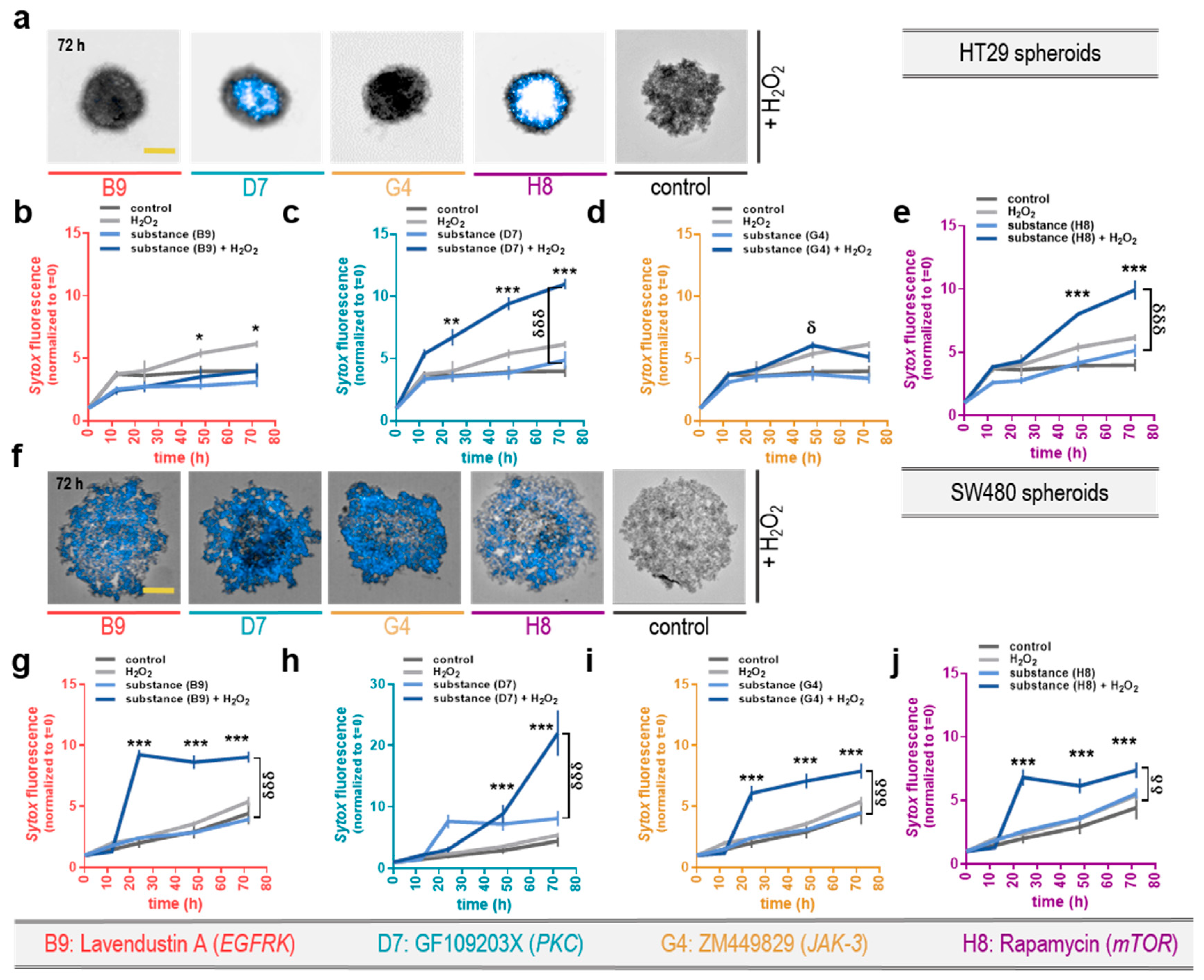 Cancers 12 00122 g005 Cancers 12 00122 g005