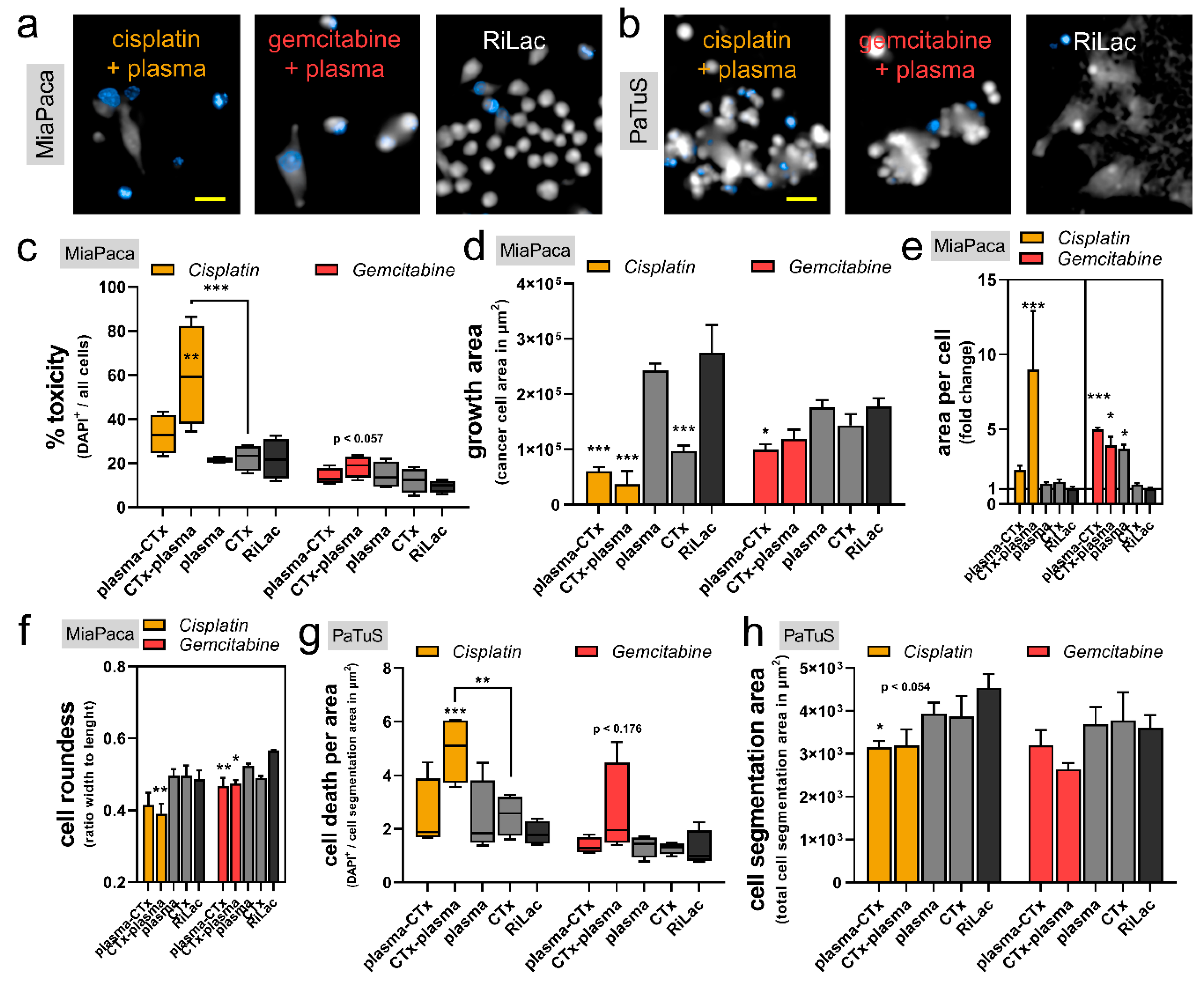 Cancers 12 00123 g004 Cancers 12 00123 g004