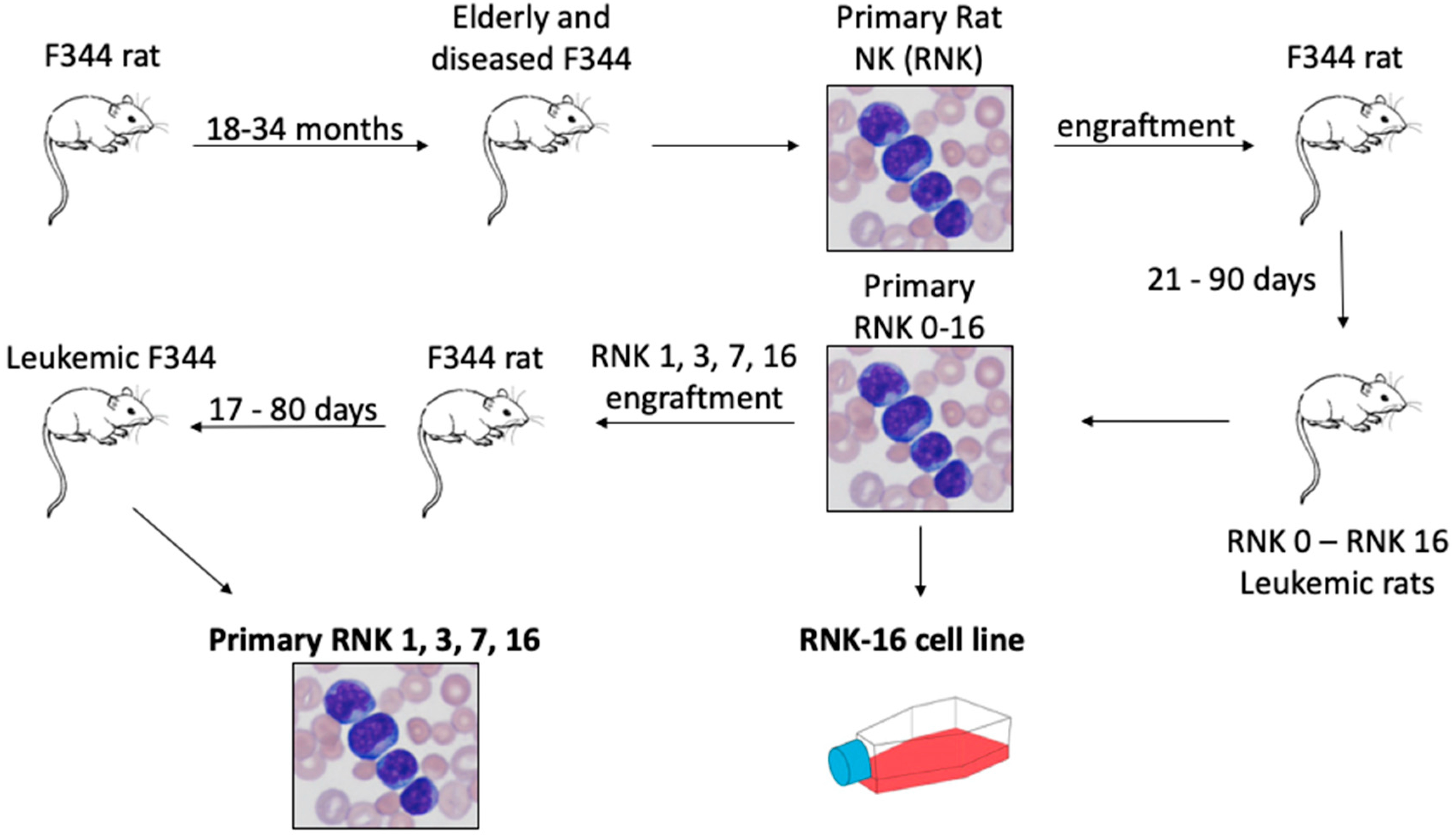 Cancers 12 00126 g001 Cancers 12 00126 g001