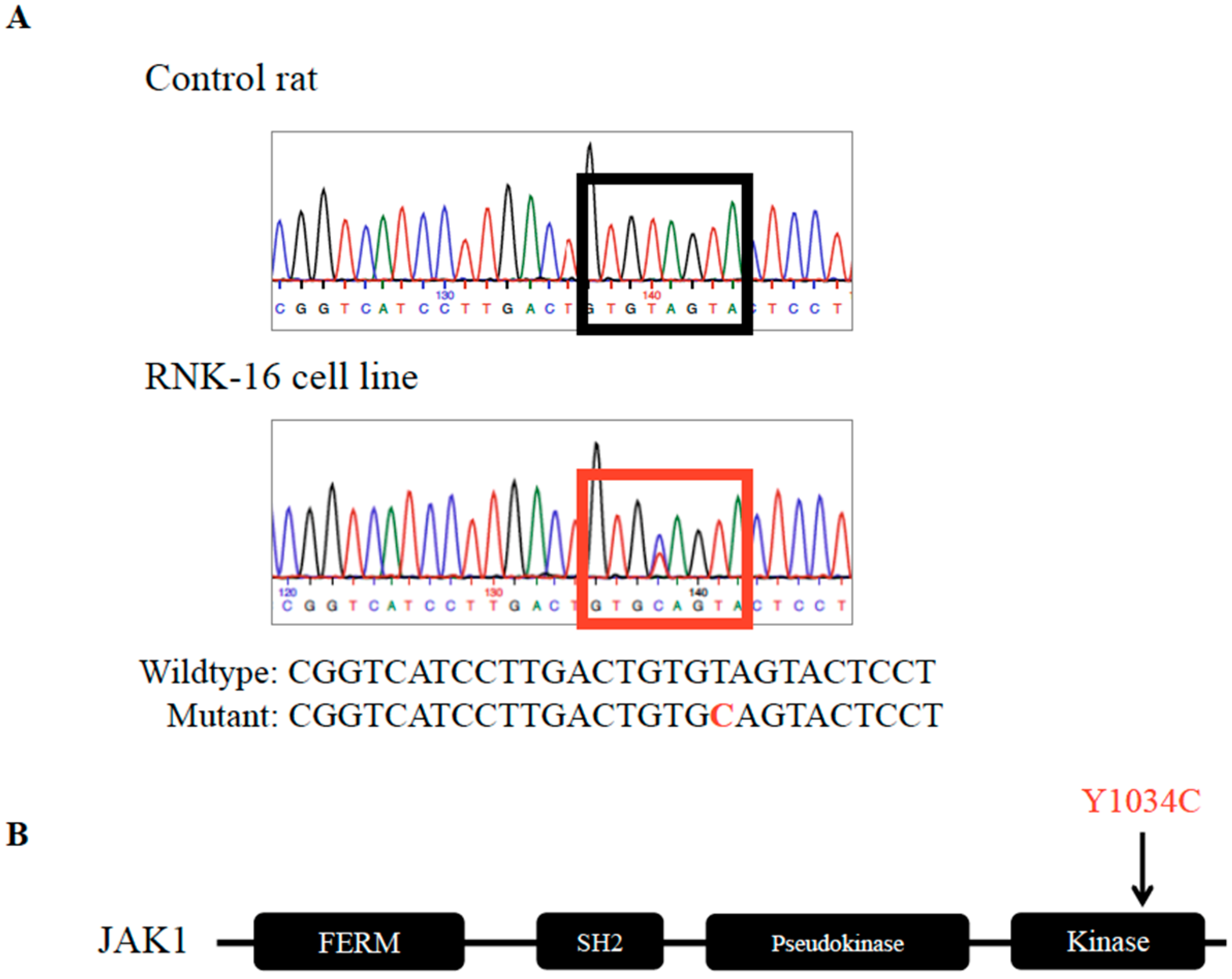 Cancers 12 00126 g002 Cancers 12 00126 g002