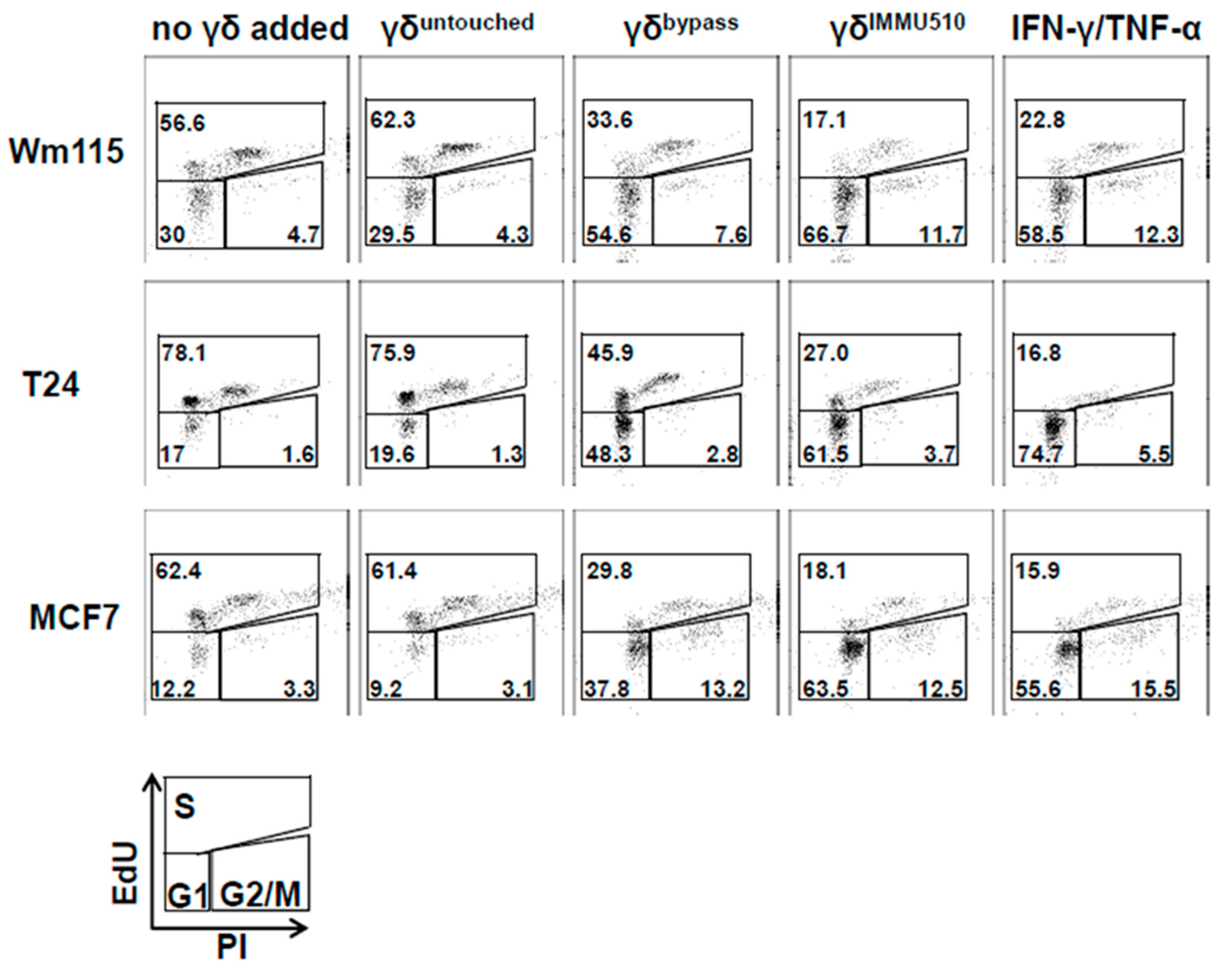 Cancers 12 00130 g006 Cancers 12 00130 g006