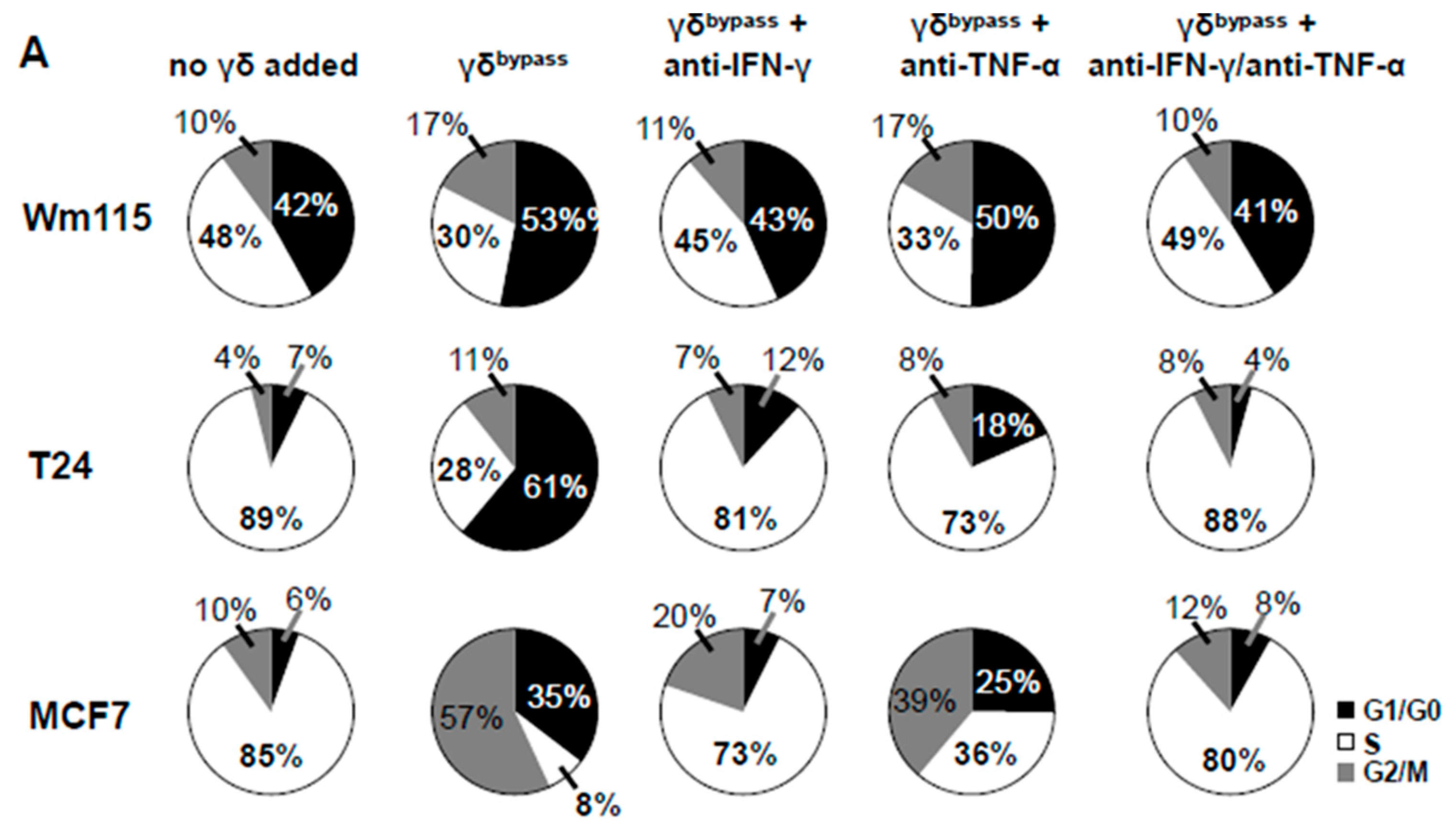 Cancers 12 00130 g010a Cancers 12 00130 g010a