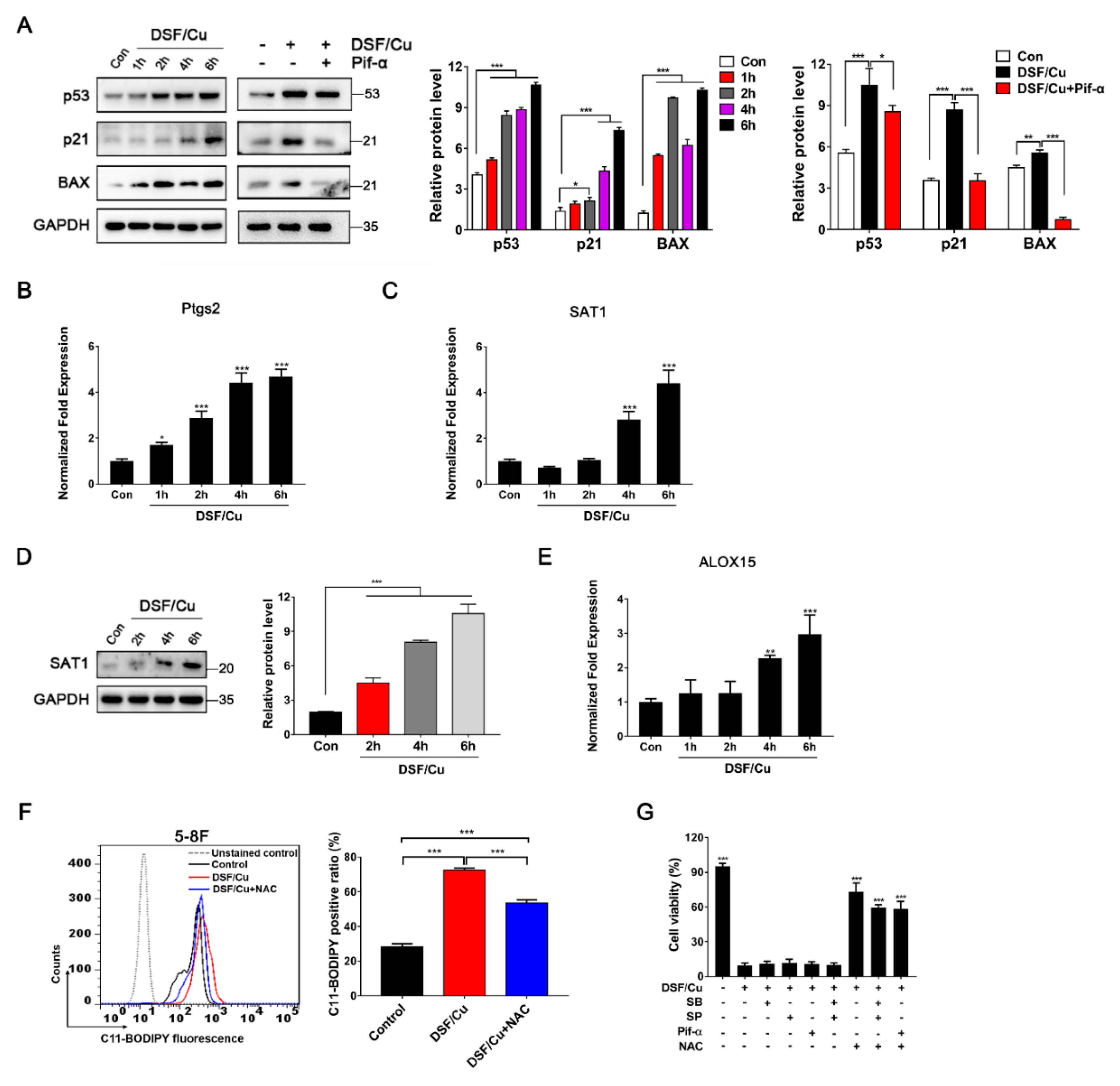 Cancers 12 00138 g005 Cancers 12 00138 g005